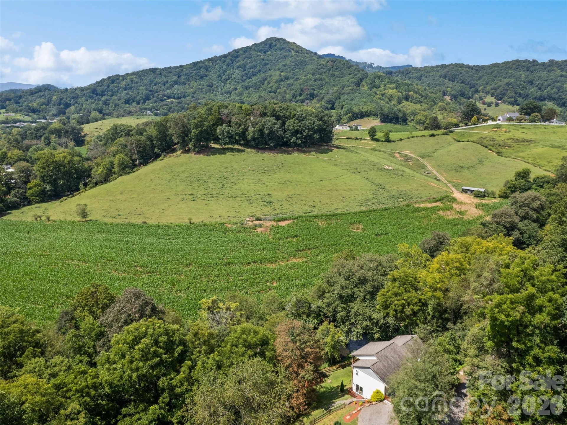 404 Loop Road - Photo 45