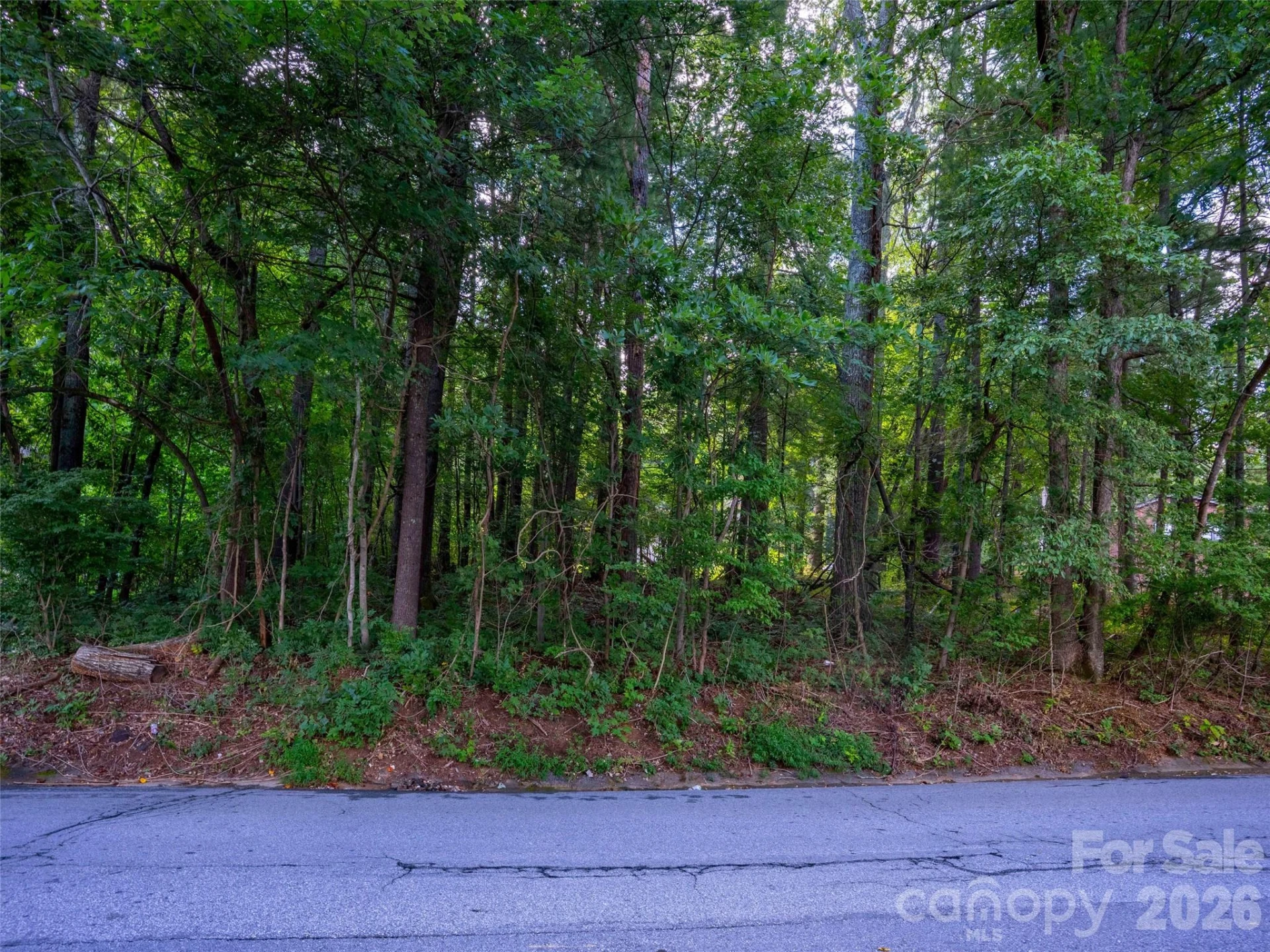 00 Marley Drive #5 - Photo 2