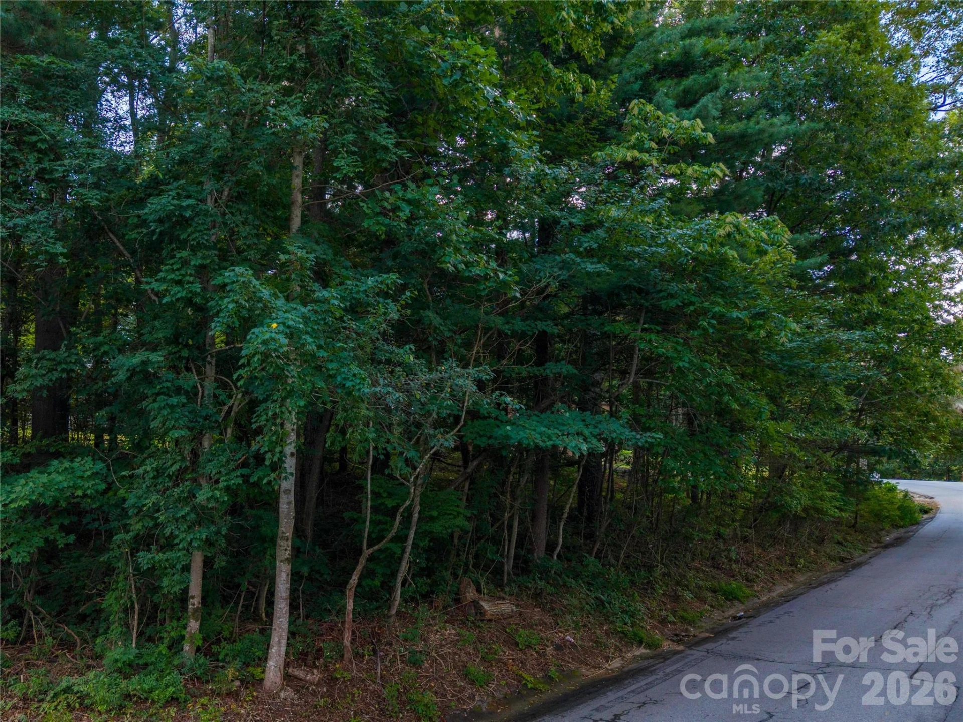 00 Marley Drive #5 - Photo 4