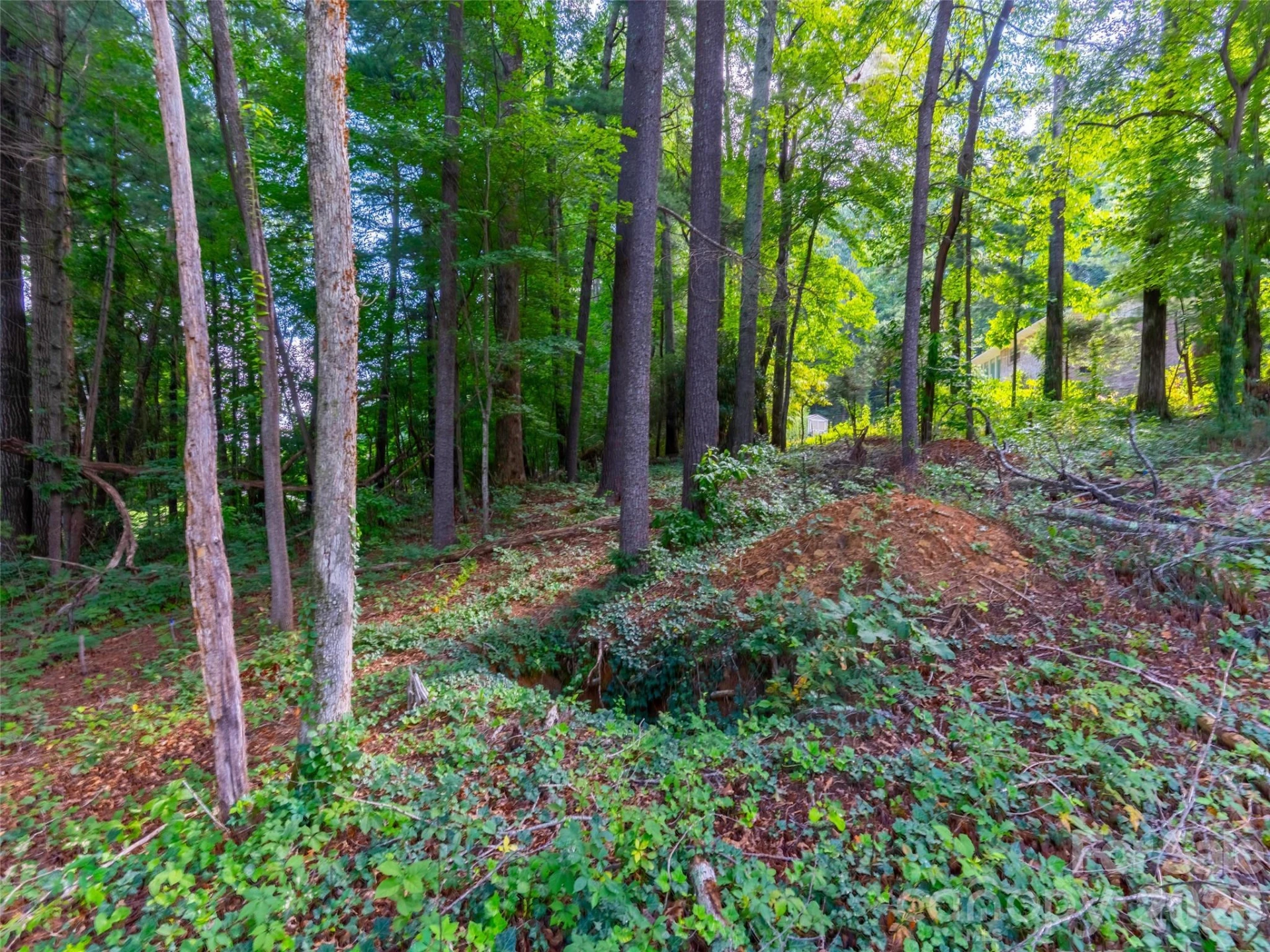 00 Marley Drive #5 - Photo 5
