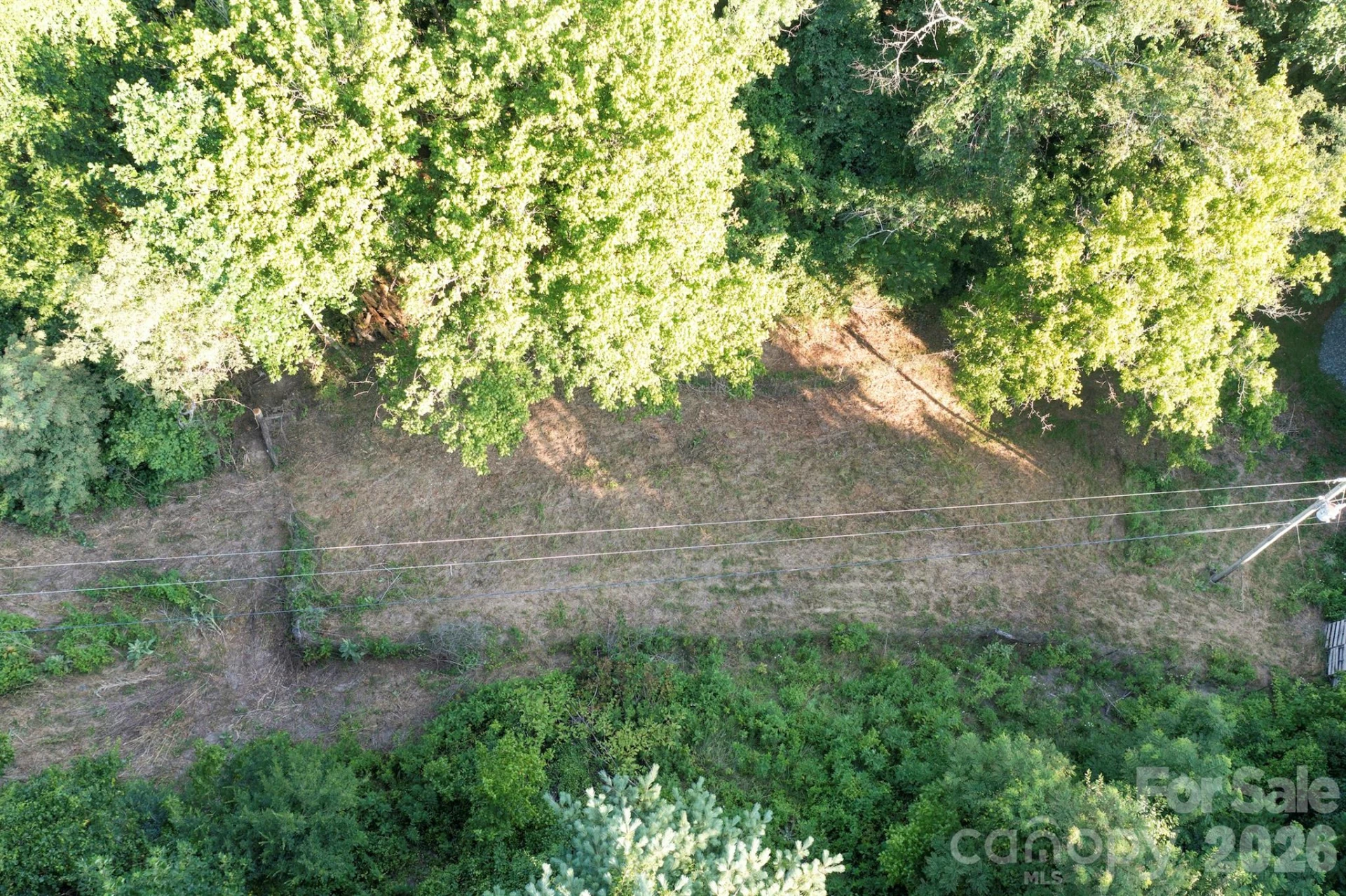 301 Hardwick Branch Road - Photo 45