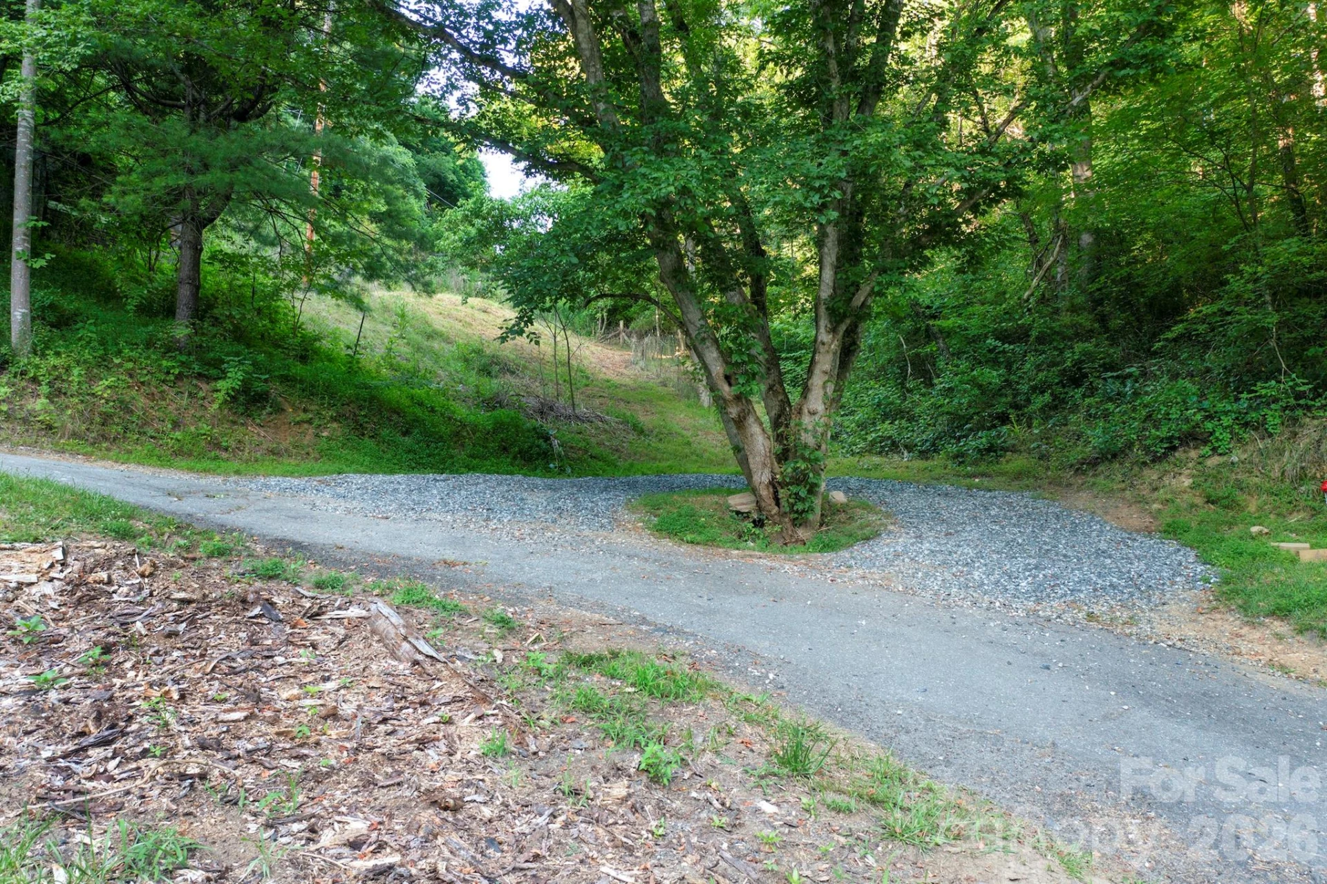 301 Hardwick Branch Road - Photo 46
