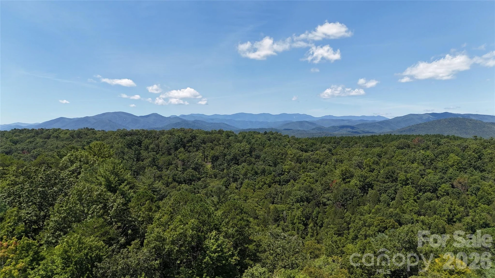 77 Raccoon Ridge - Photo 11