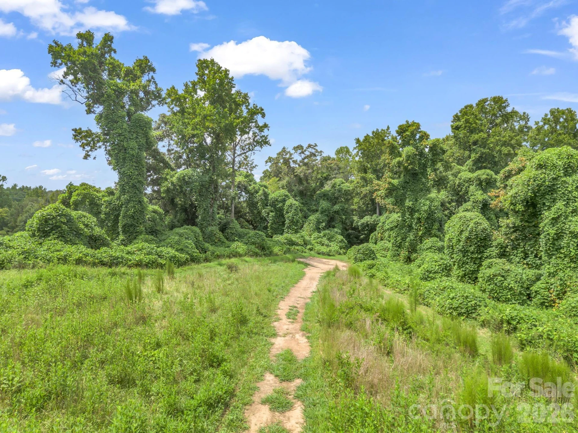 588 Hog Pen Branch Road - Photo 38