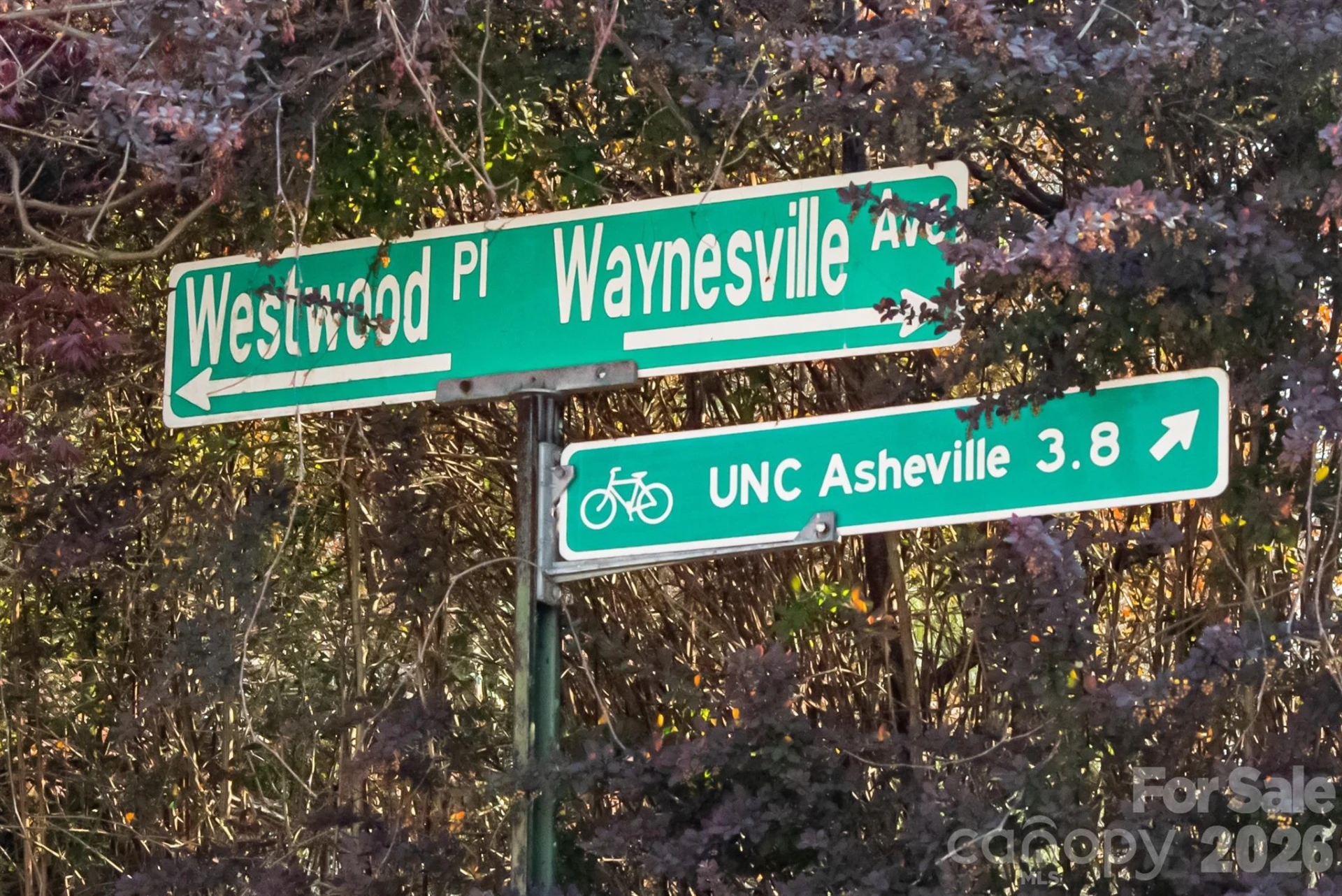 11 Westwood Place - Photo 4