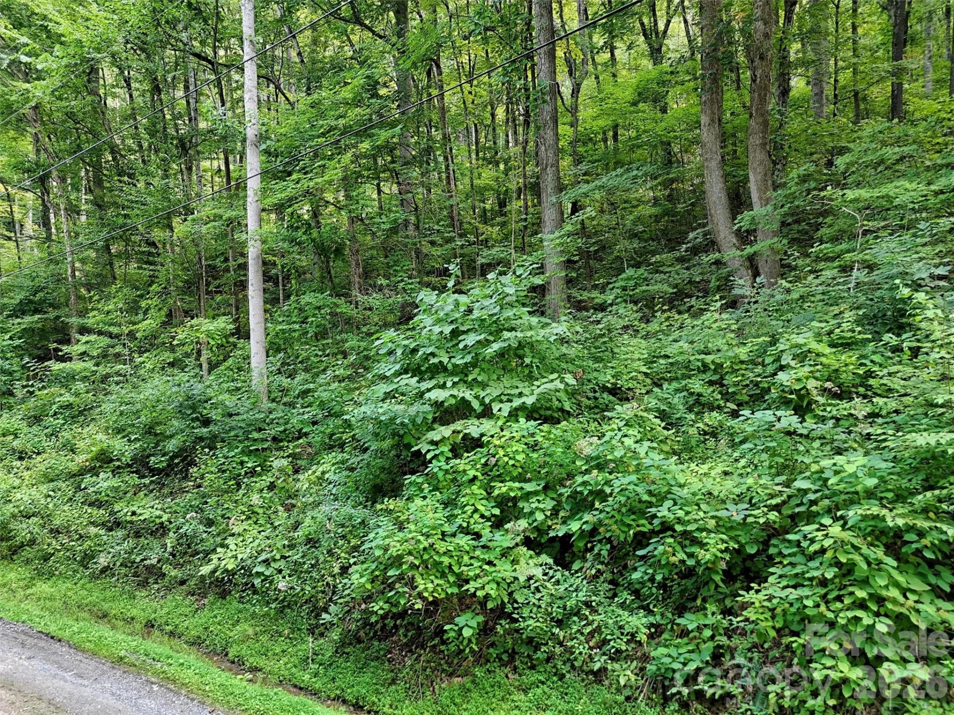 191 Merrie Way #62 - Photo 5