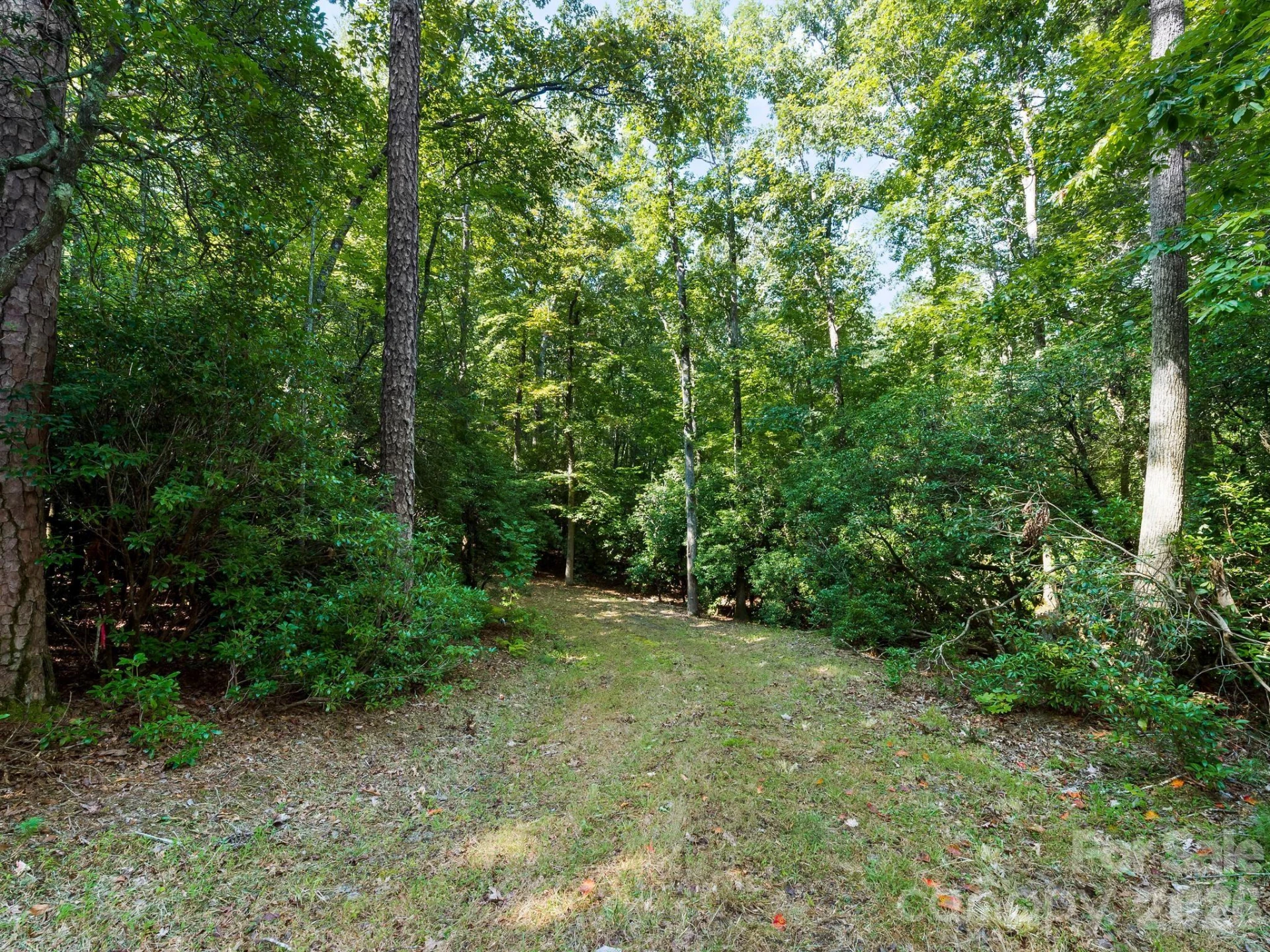 309 Flying Cloud Lane - Photo 4