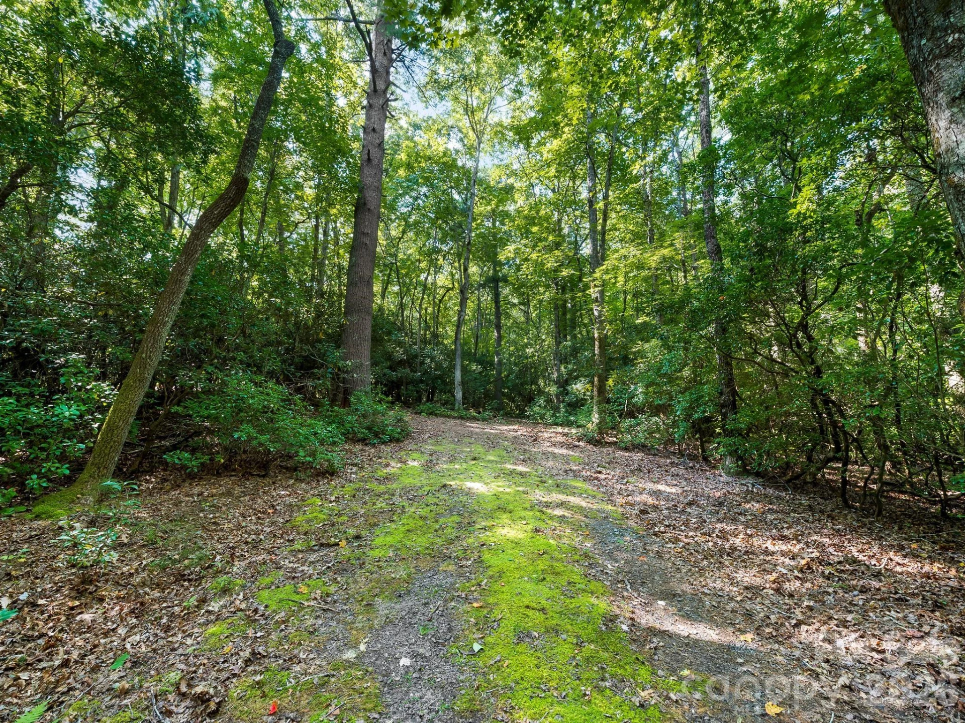 309 Flying Cloud Lane - Photo 5