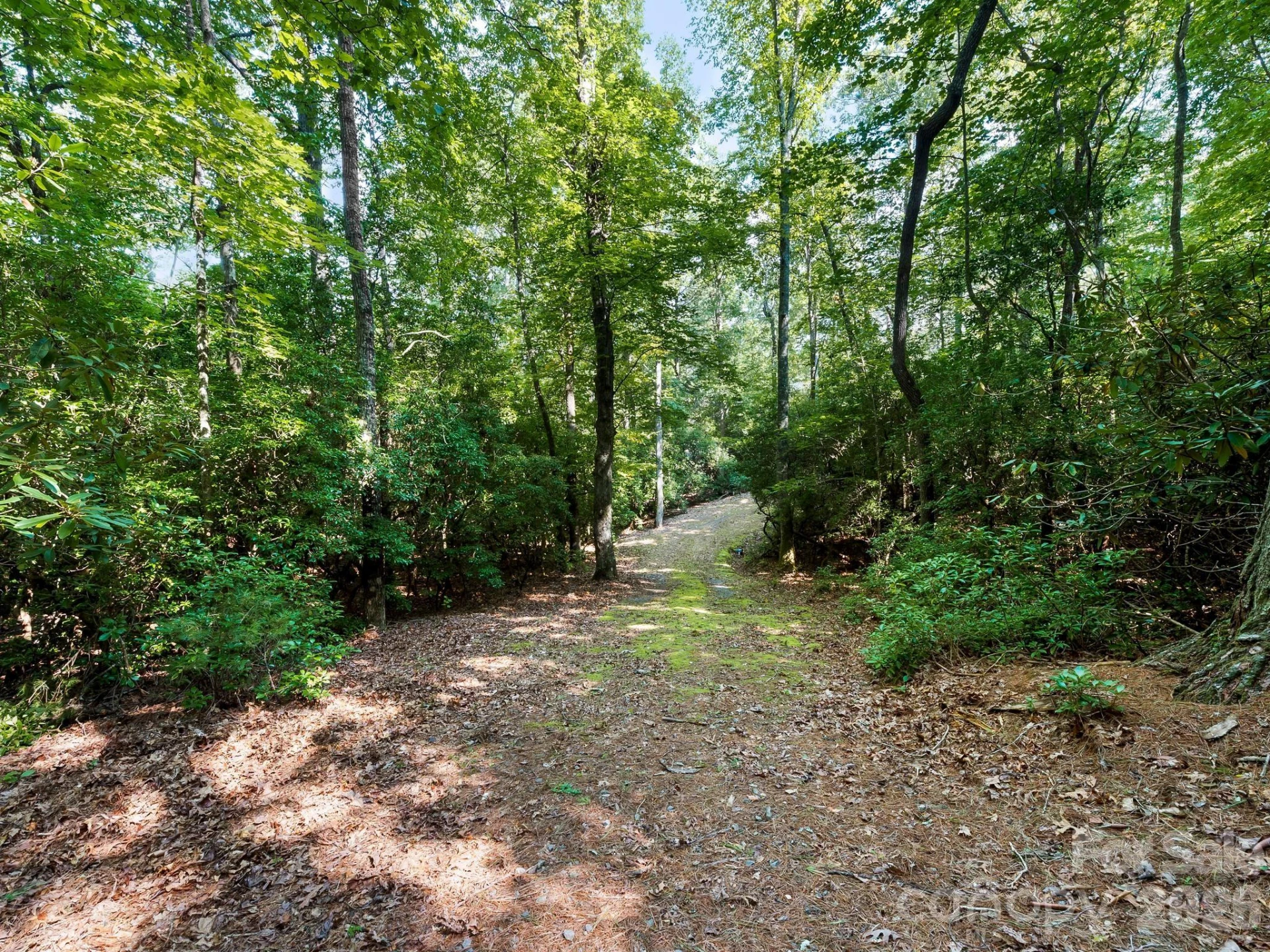 309 Flying Cloud Lane - Photo 6