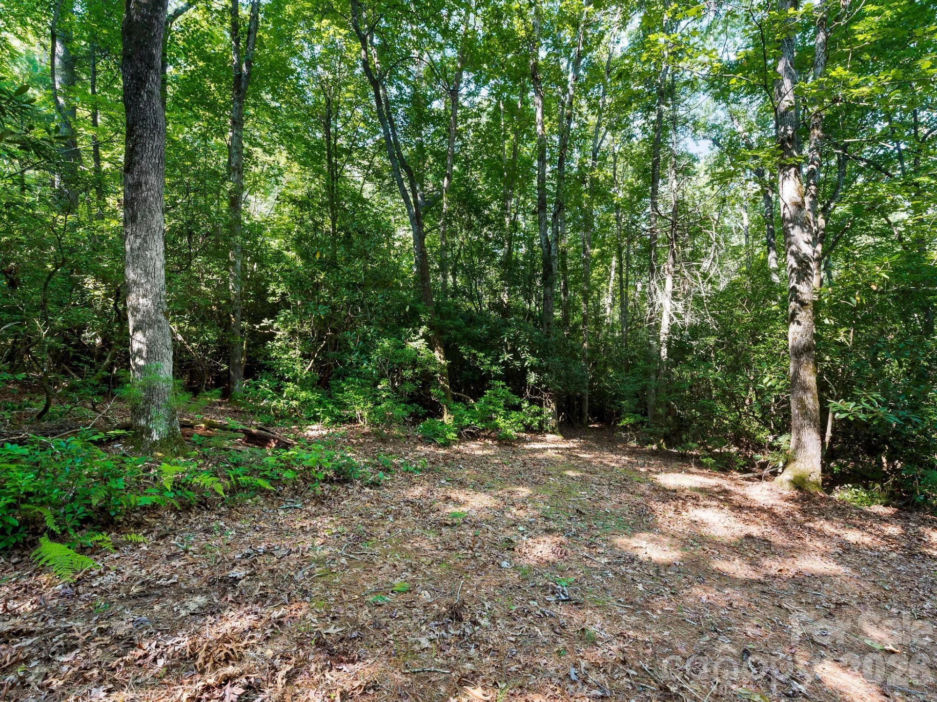 309 Flying Cloud Lane - Photo 7