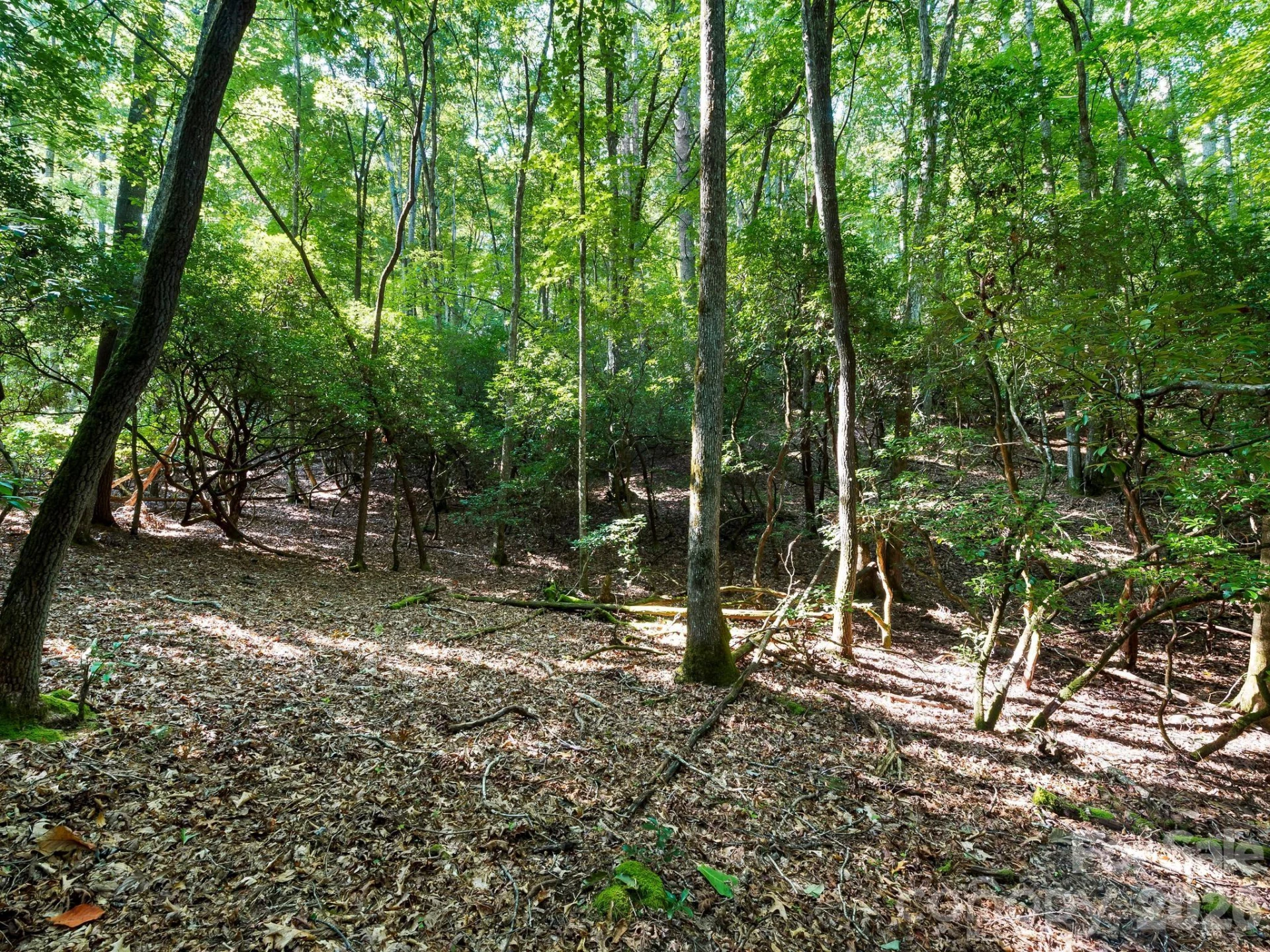 309 Flying Cloud Lane - Photo 8