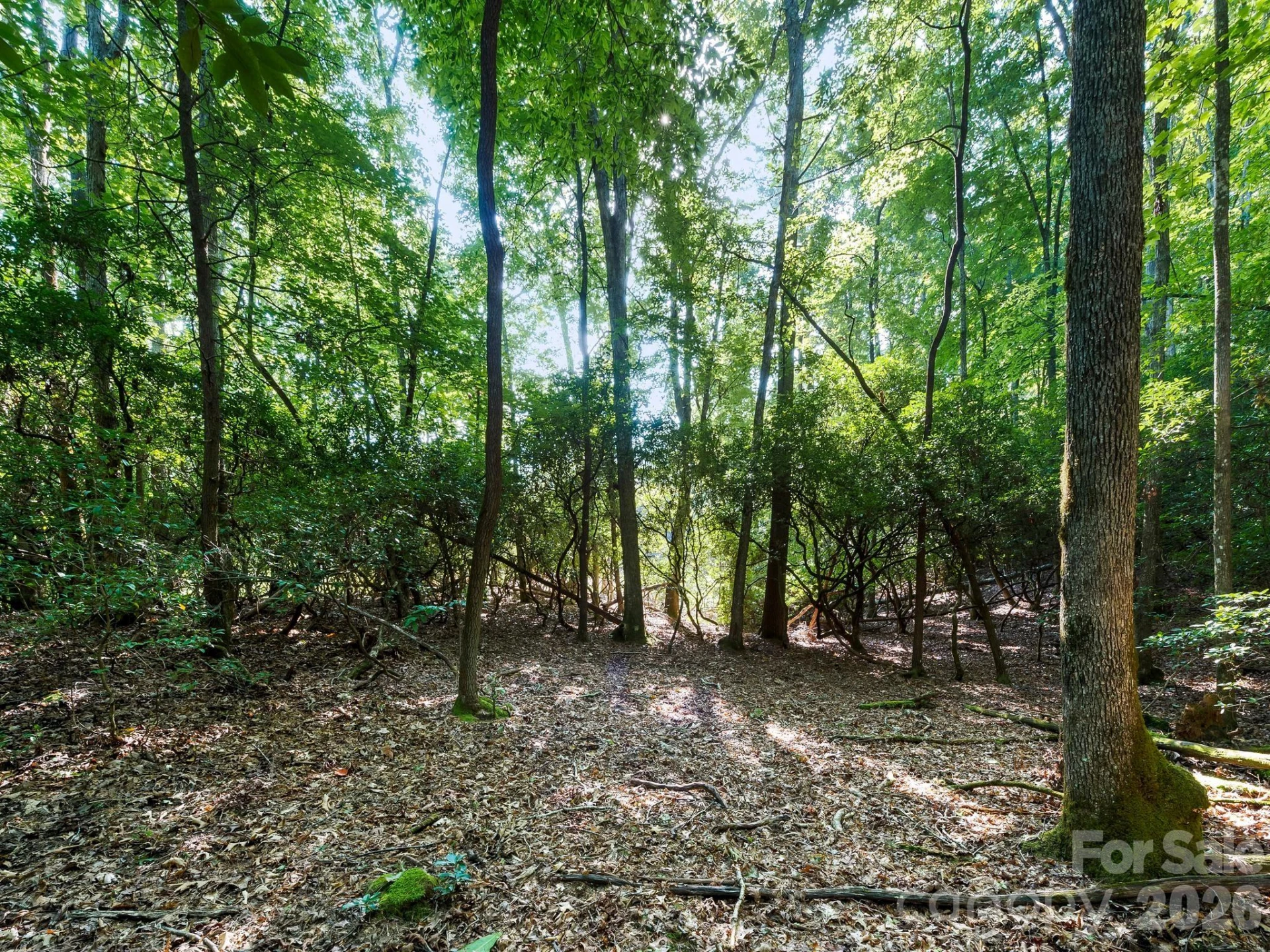 309 Flying Cloud Lane - Photo 11