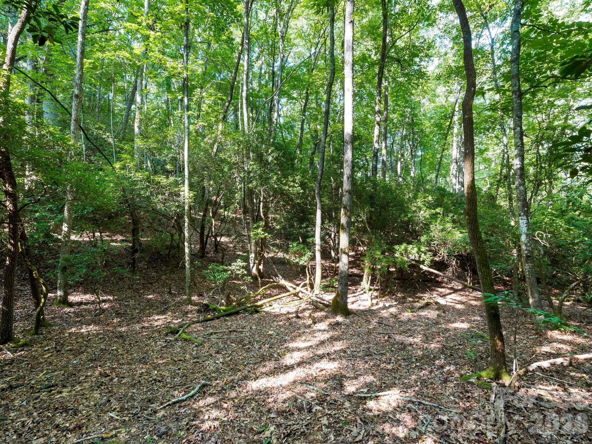 309 Flying Cloud Lane - Photo 12