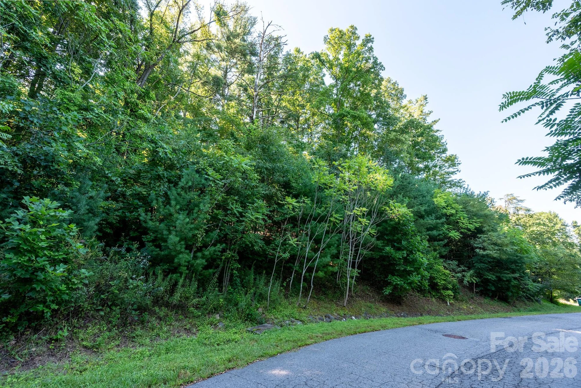 70 Hawtree Court - Photo 17