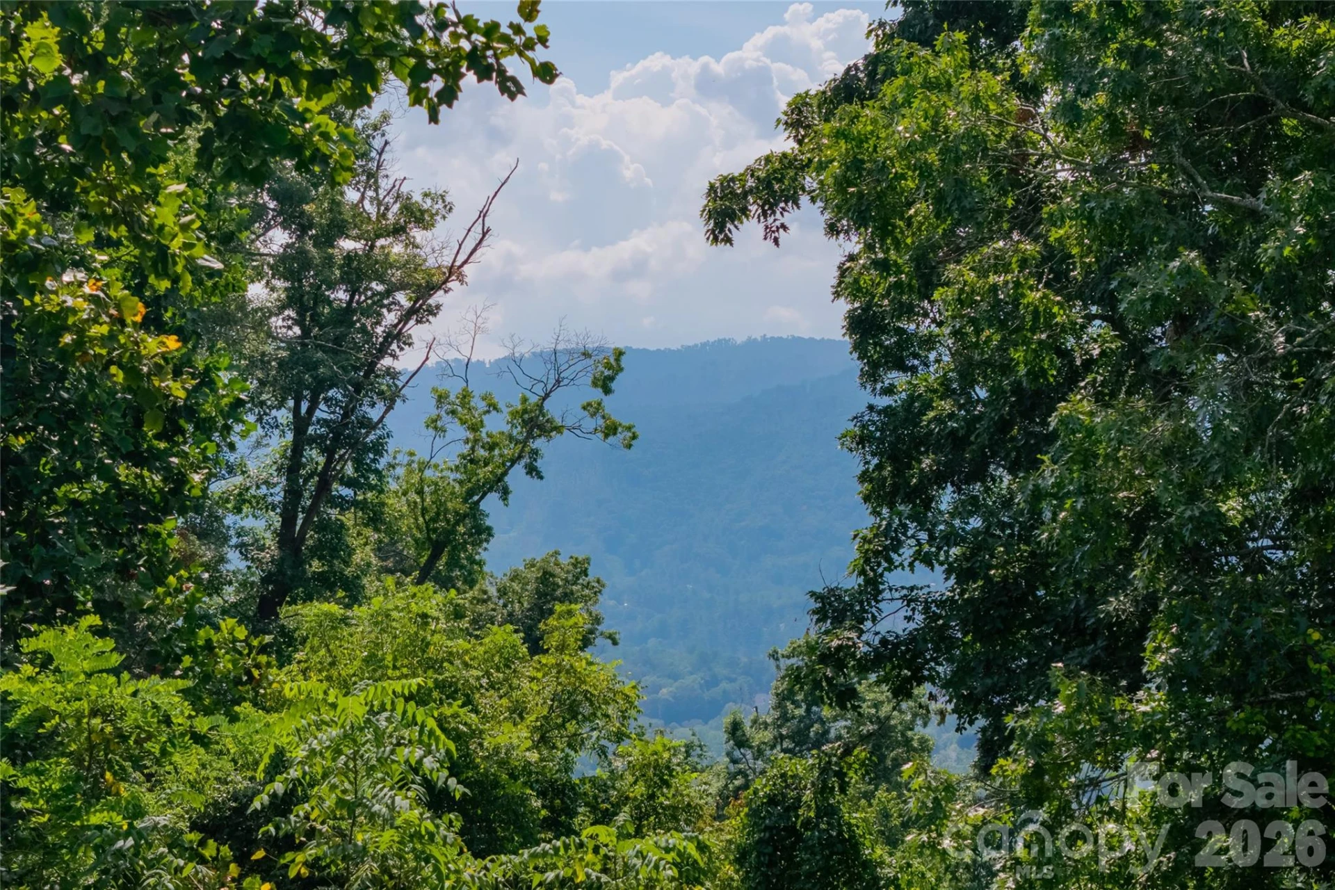 59 Longstreet Court #10 - Photo 8