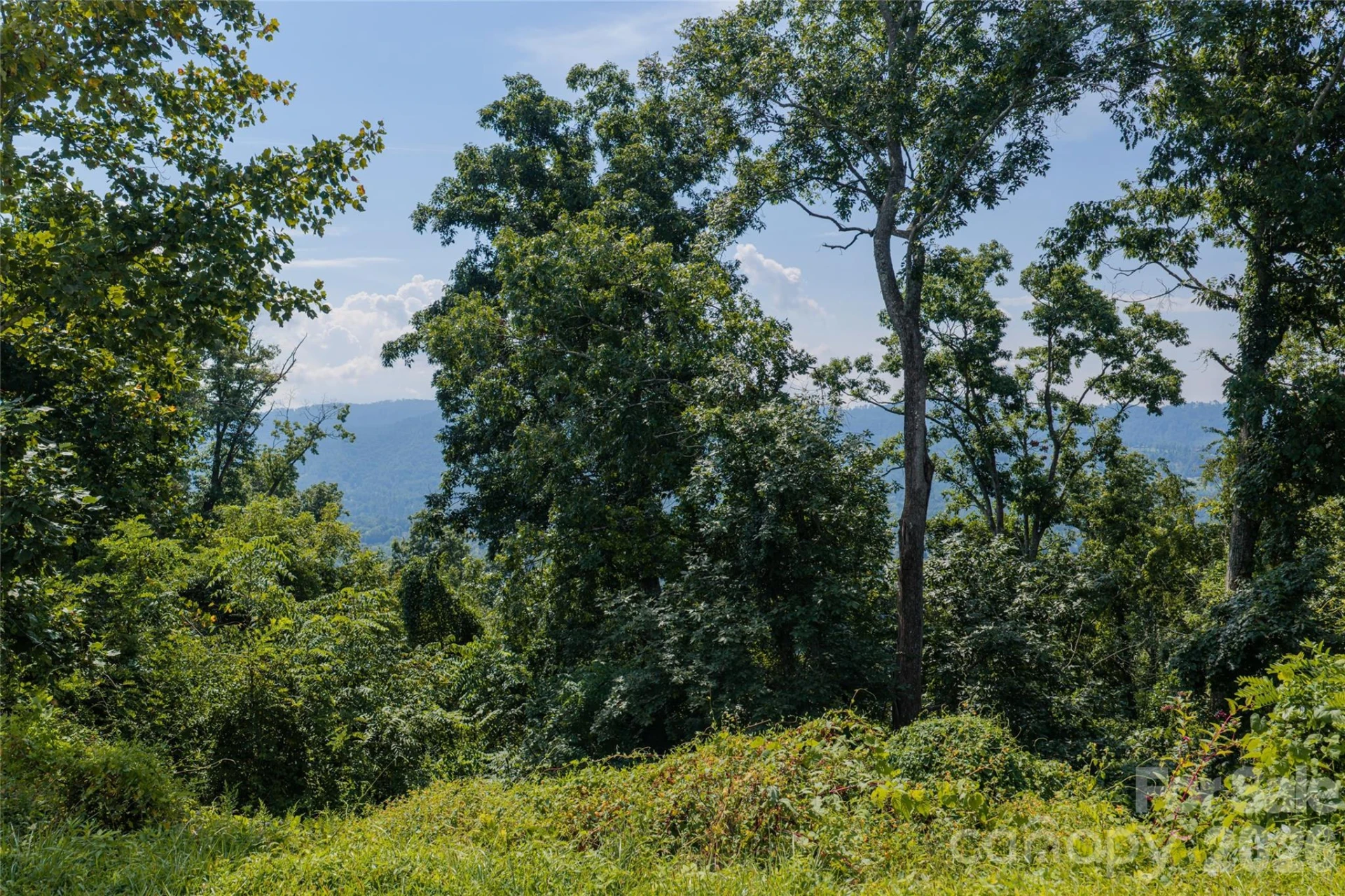59 Longstreet Court #10 - Photo 11