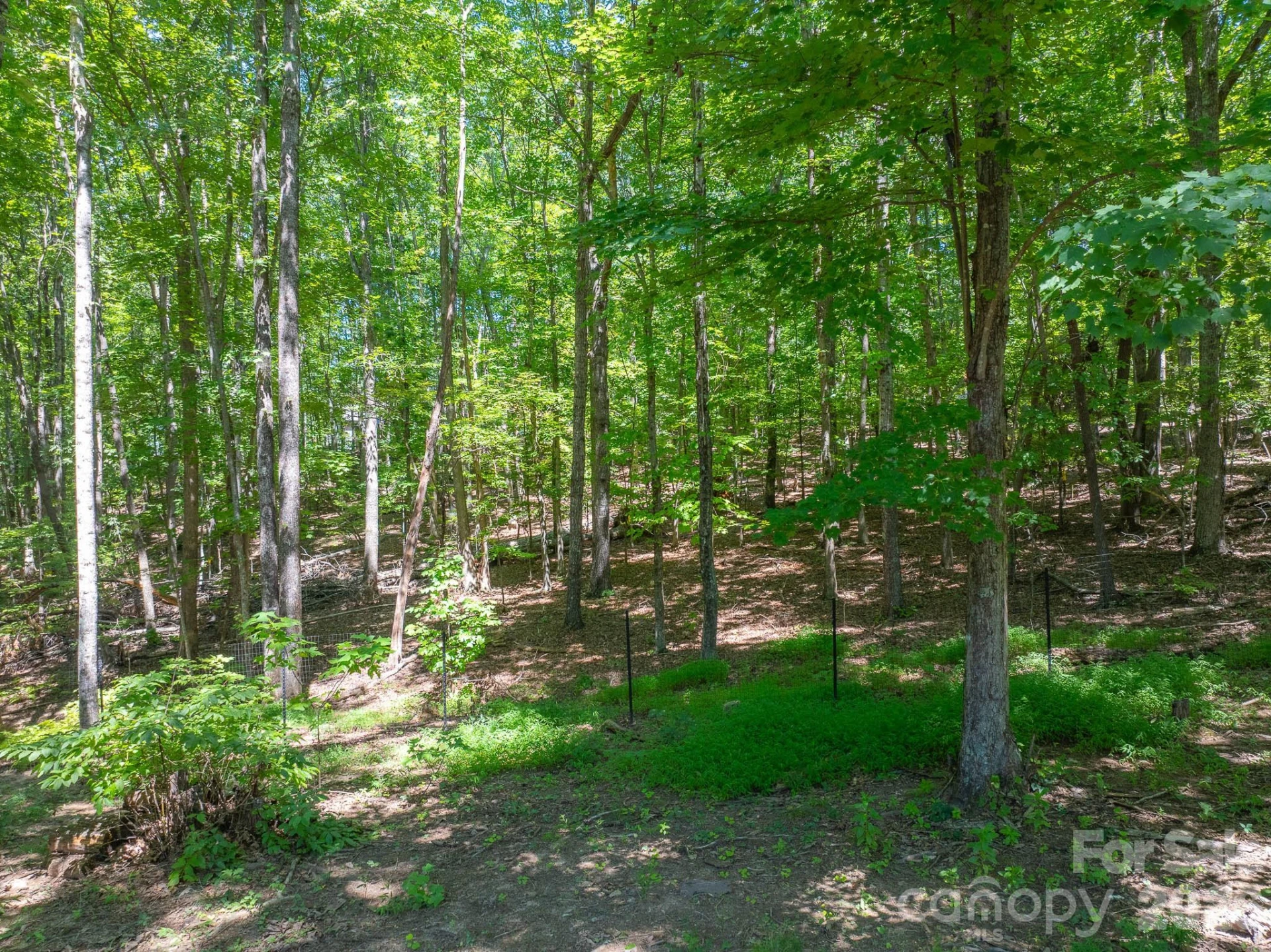 257 Adirondack Trail #180 - Photo 39
