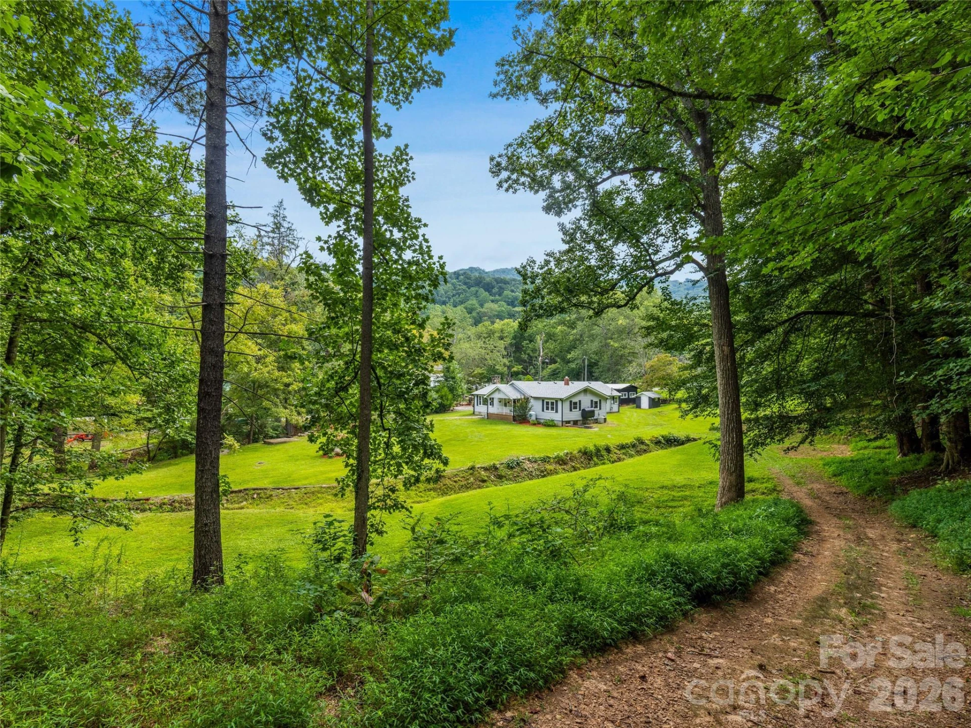 91 Rice Branch Road - Photo 5