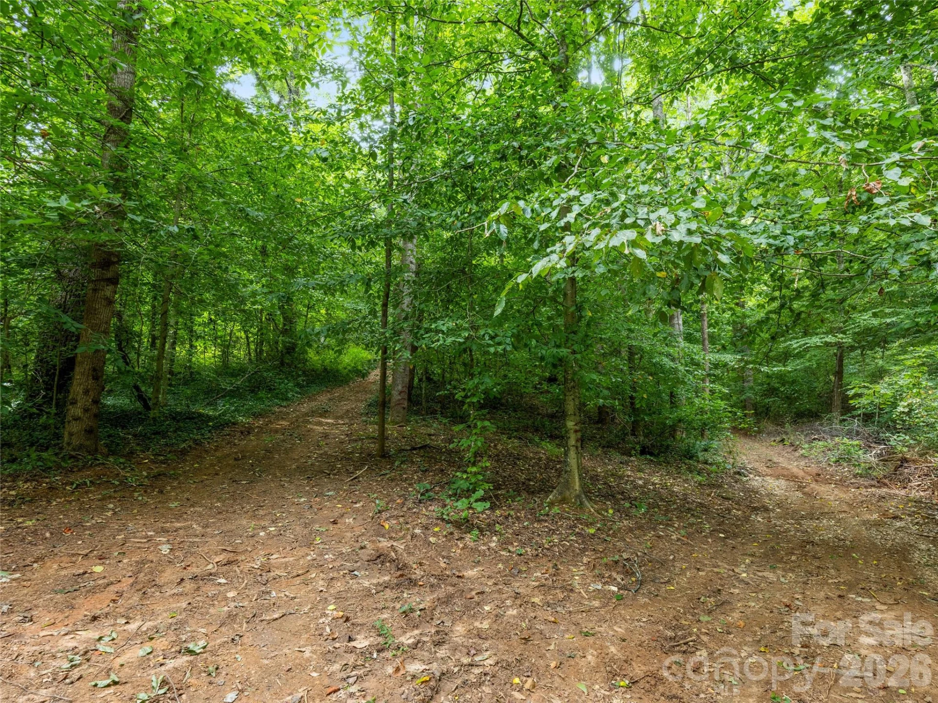 91 Rice Branch Road - Photo 39