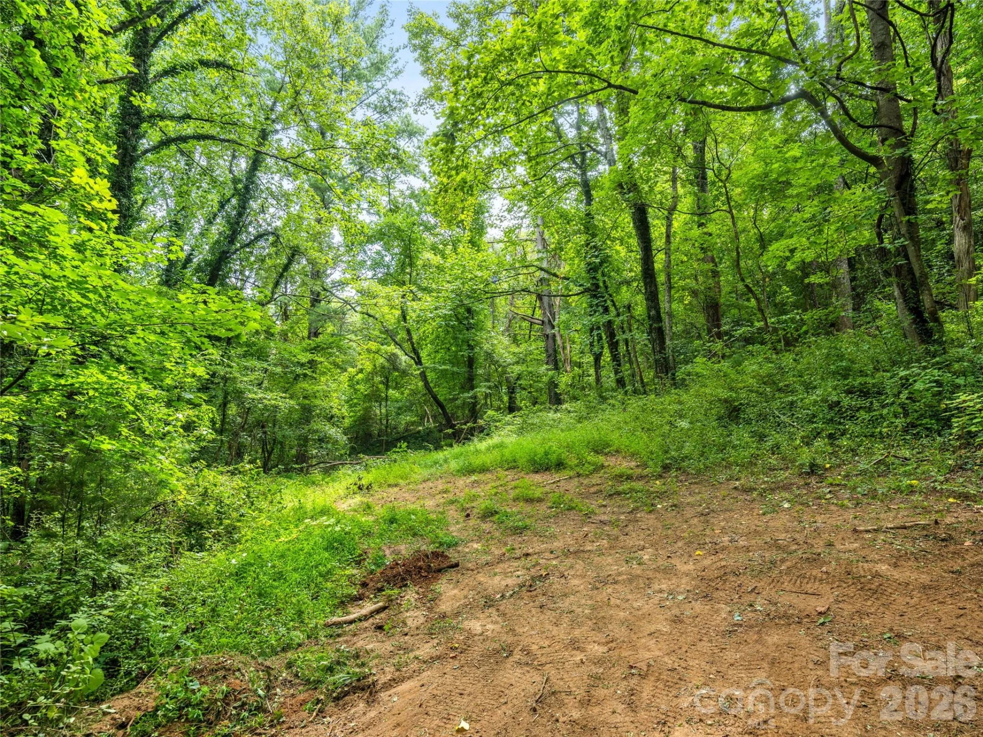91 Rice Branch Road - Photo 40