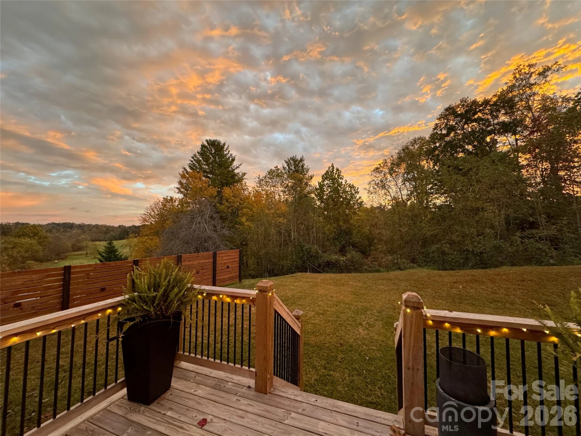 255 Dix Creek No 1 Road - Photo 10
