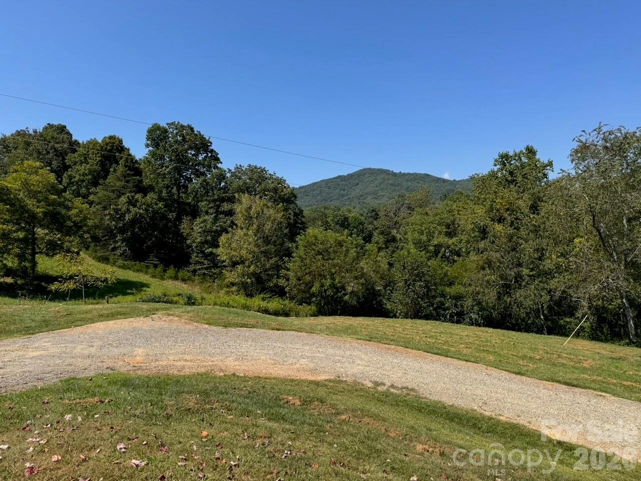 255 Dix Creek No 1 Road - Photo 12