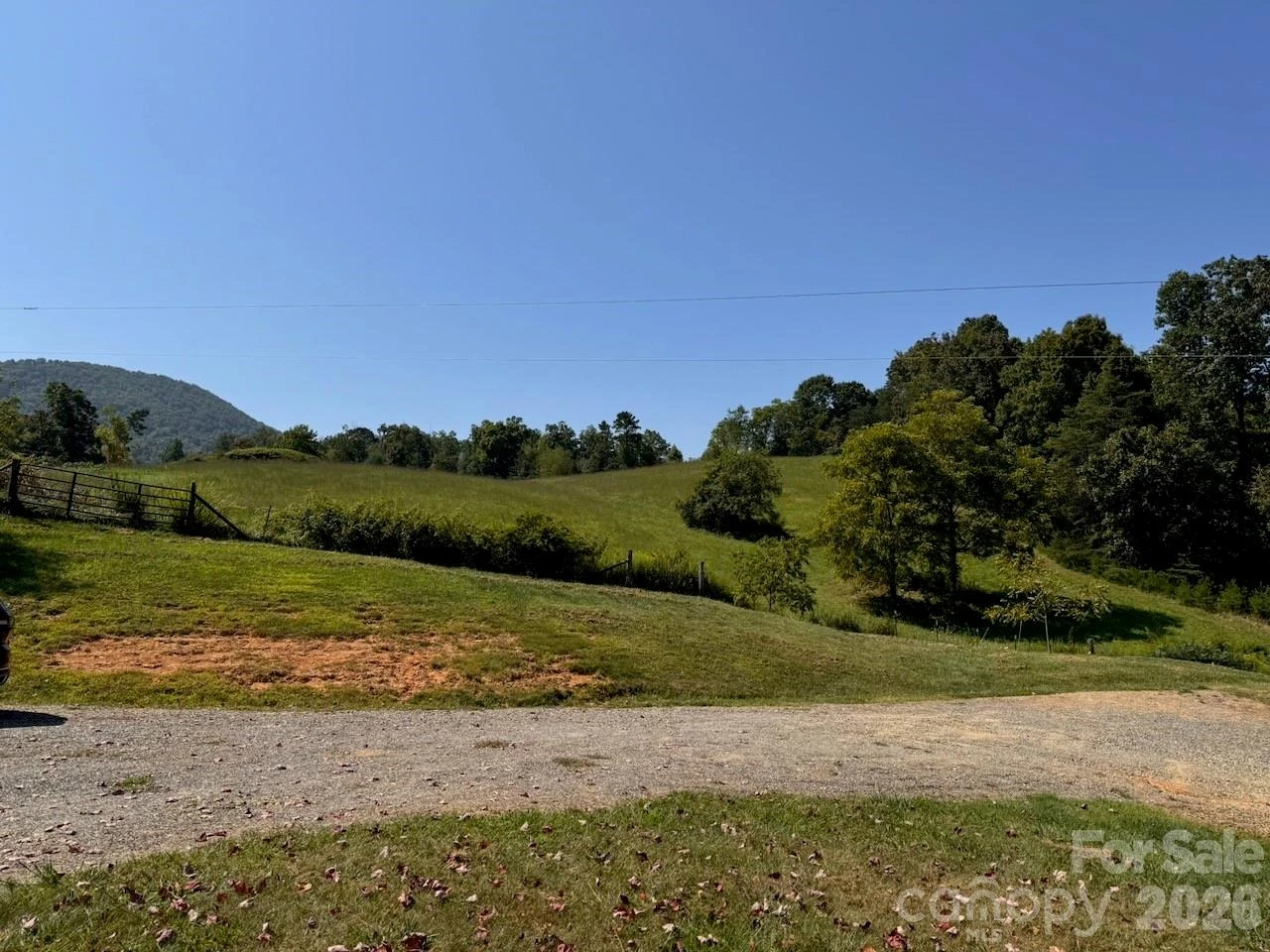 255 Dix Creek No 1 Road - Photo 13