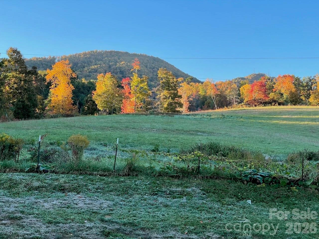 255 Dix Creek No 1 Road - Photo 38