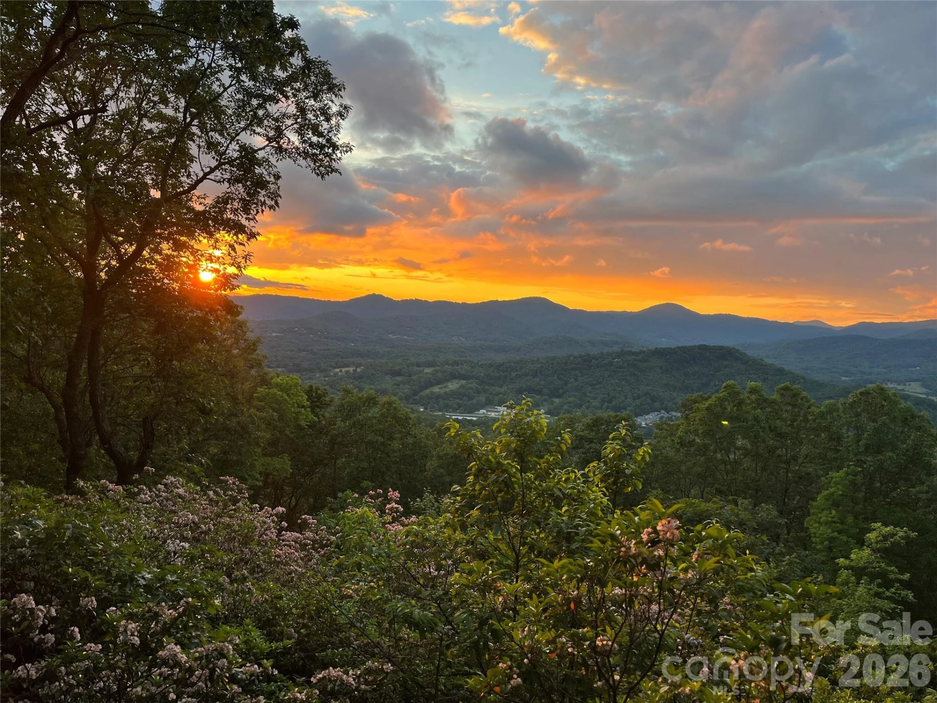 50 Cherokee Lane #3 - Photo 34