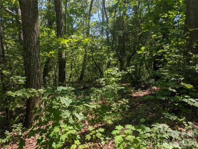 1824 Old Mill Road, Hendersonville, NC, 28792