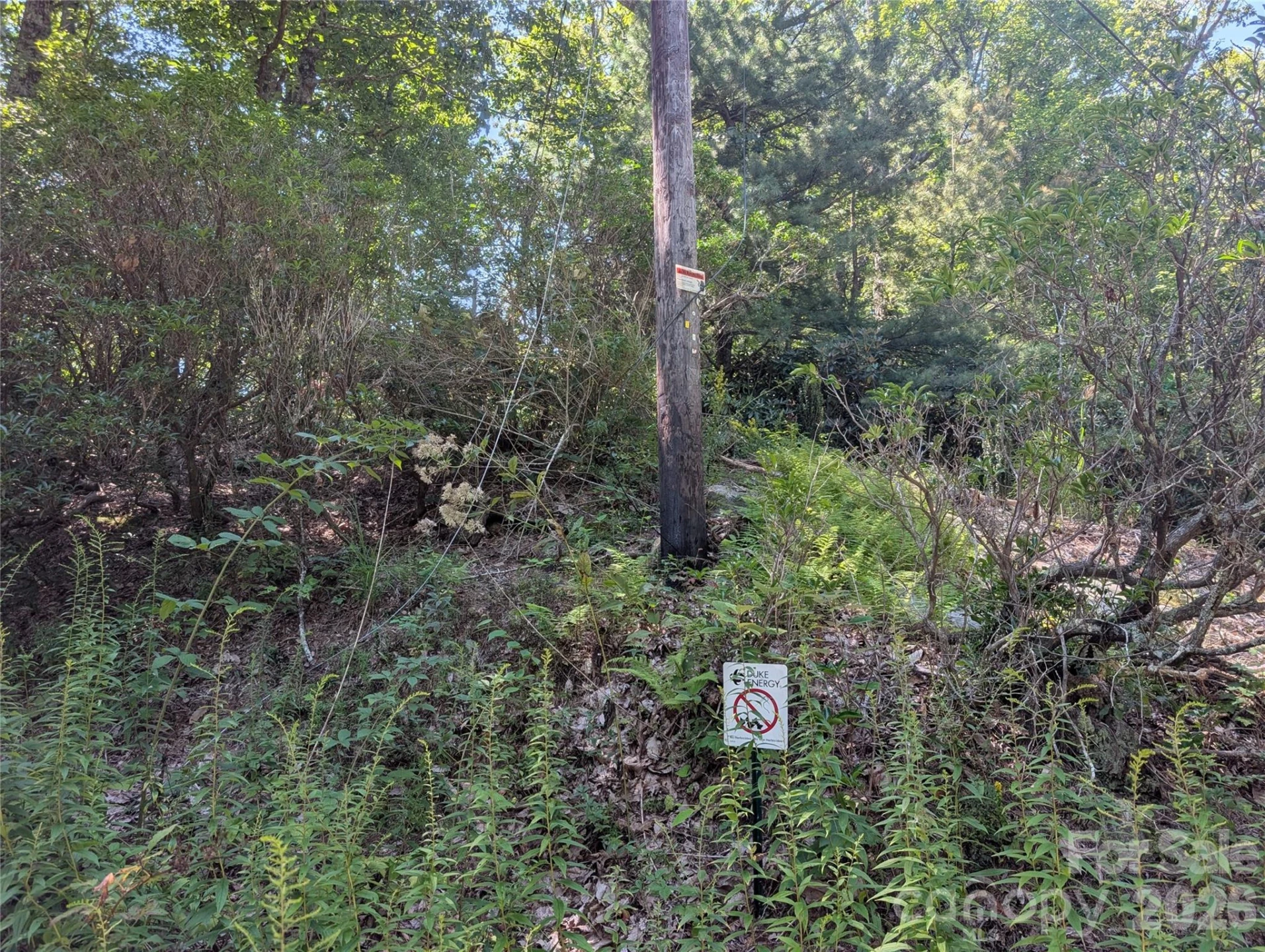 1824 Old Mill Road - Photo 6