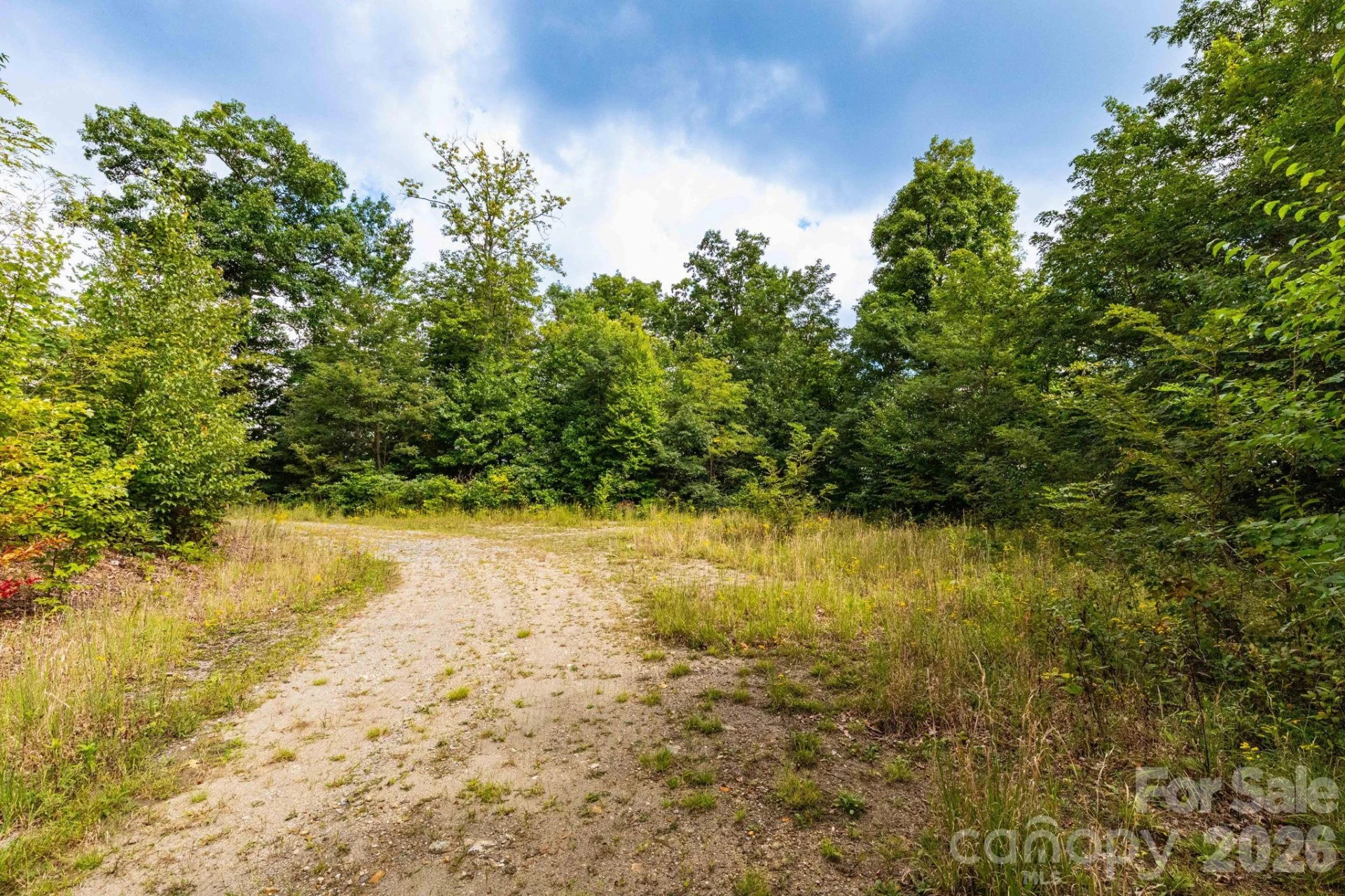 25 Lila Lane #209 - Photo 3