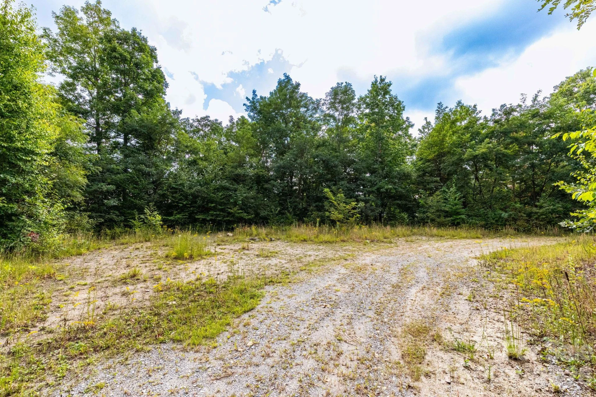 25 Lila Lane #209 - Photo 4