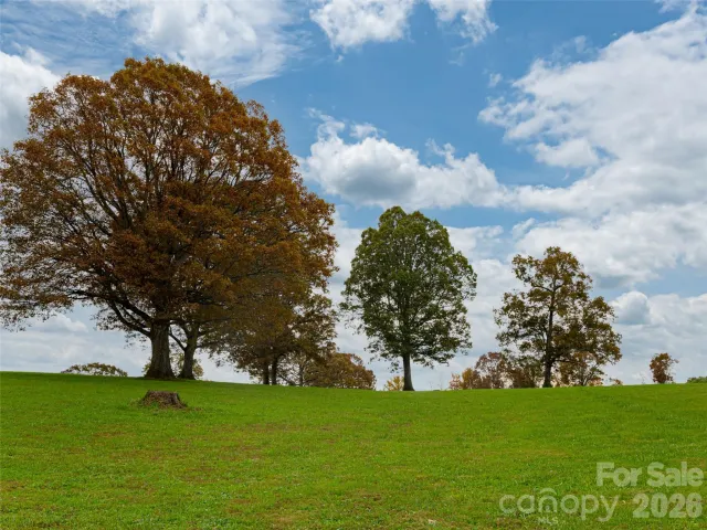 207 Soapstone Trail, Mills River, NC, 28759