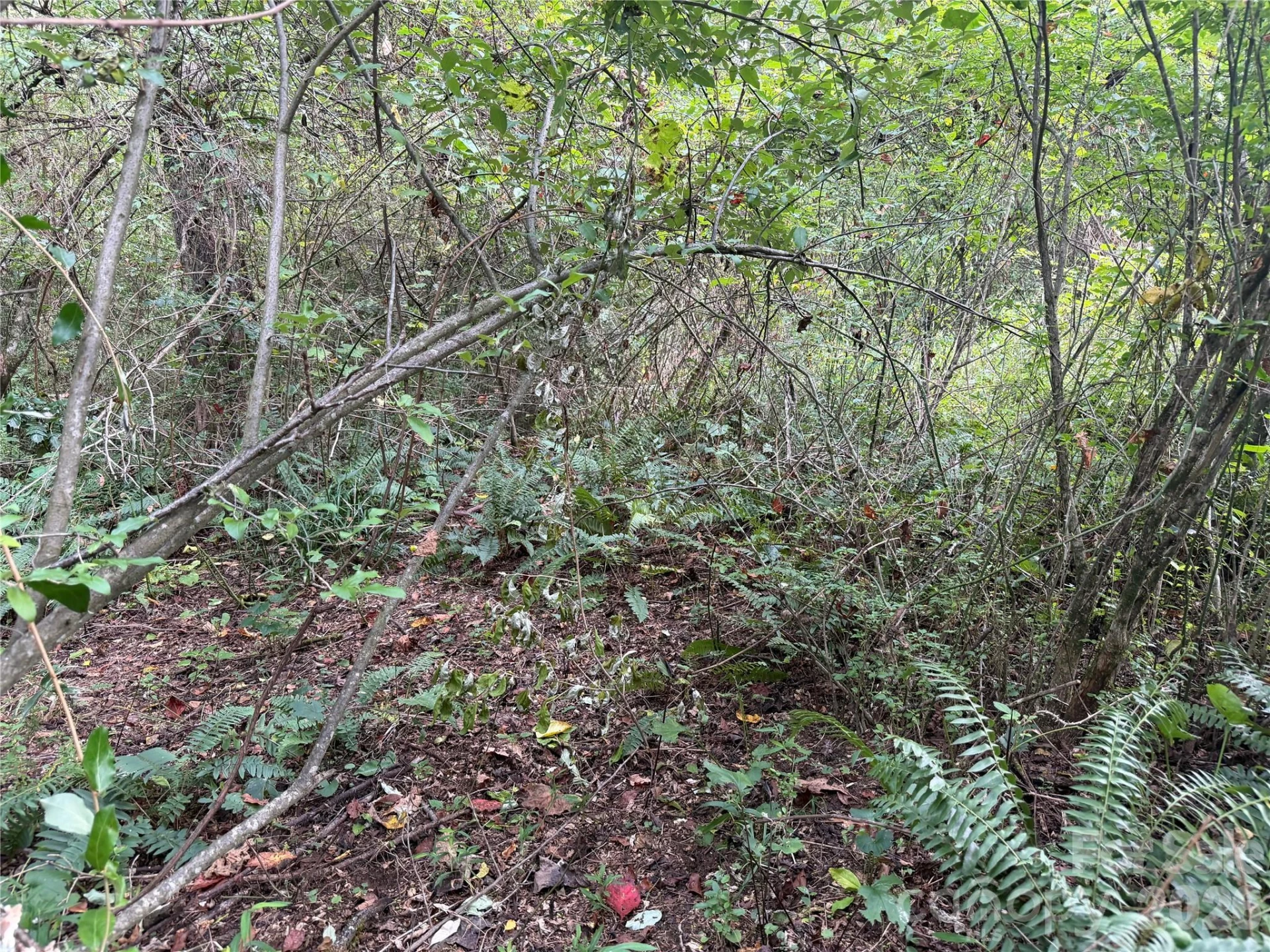 Off Meadowbrook Circle - Photo 10