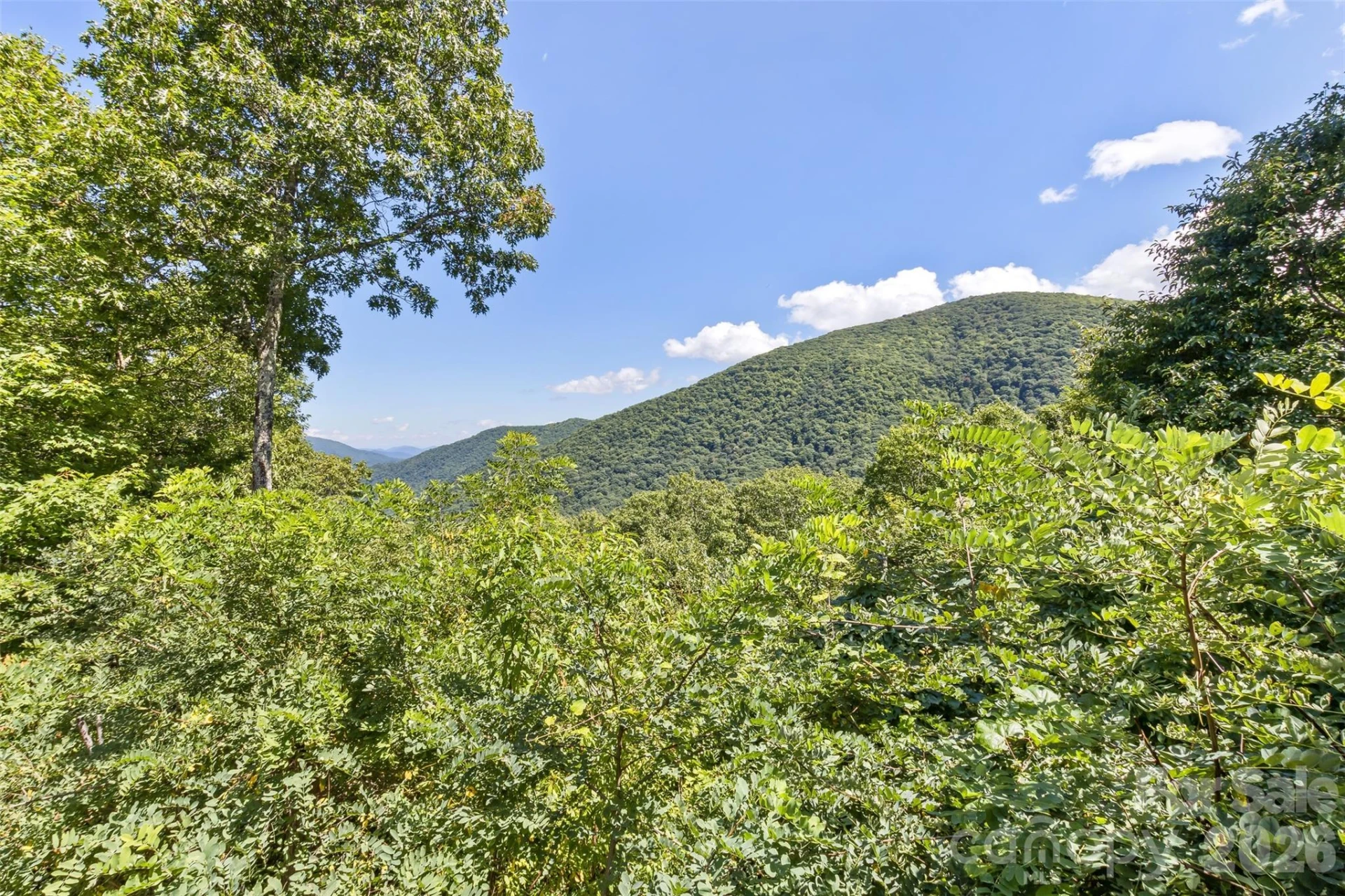 153 Tall Oaks Drive - Photo 9