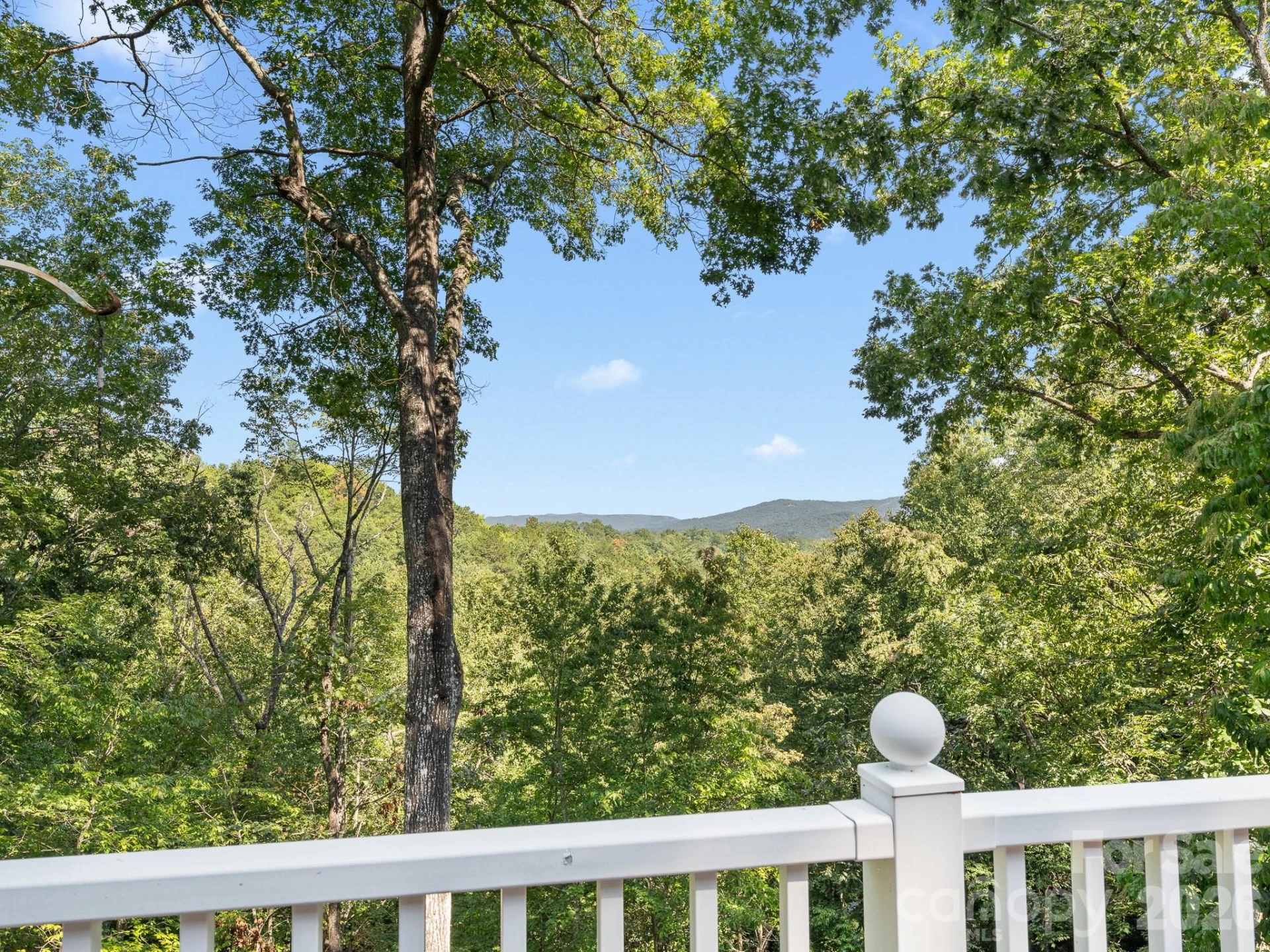 1001 Stone Drive - Photo 2