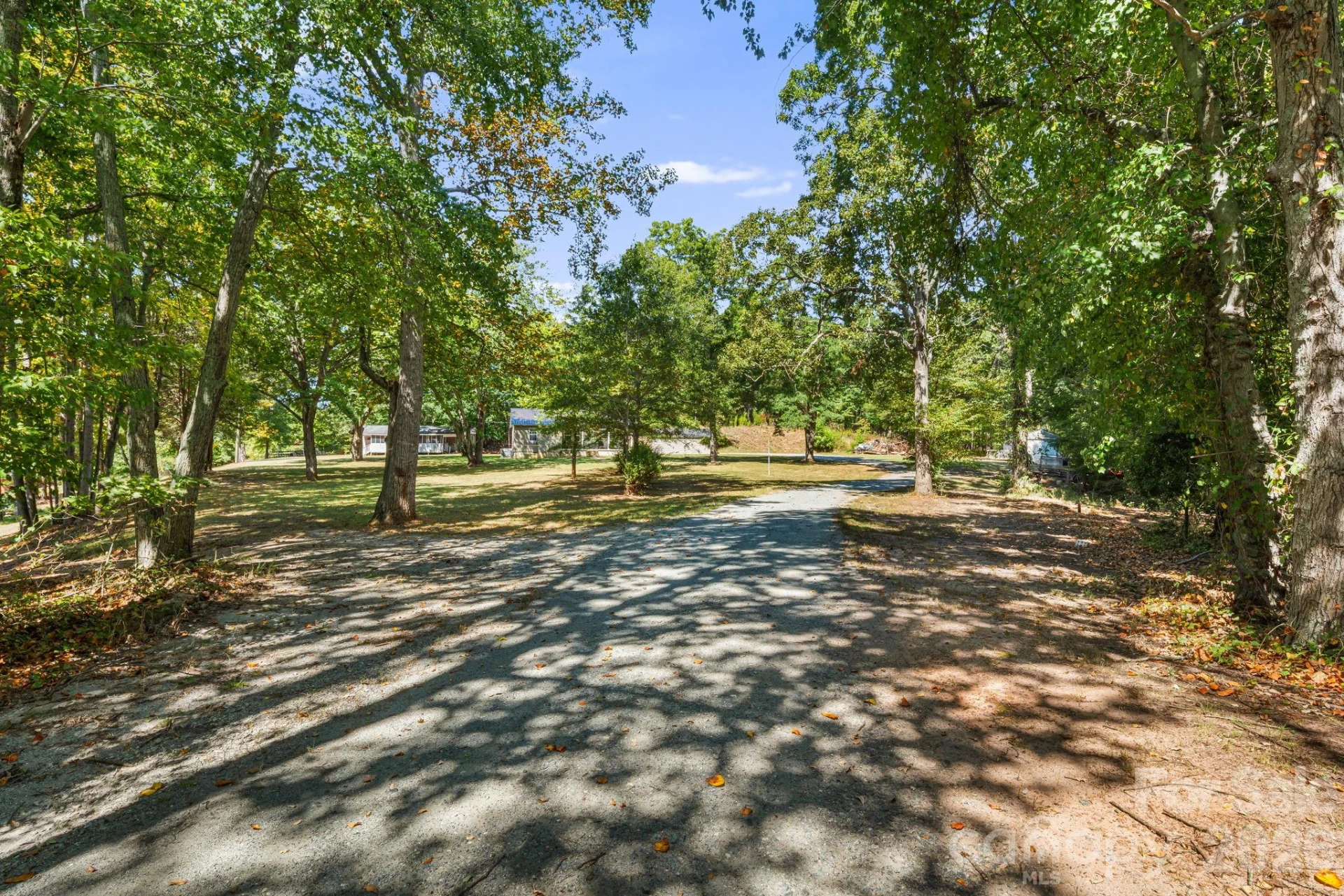 241 Ophelia Drive - Photo 13