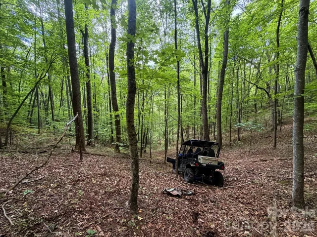 7777 Saw Branch Road