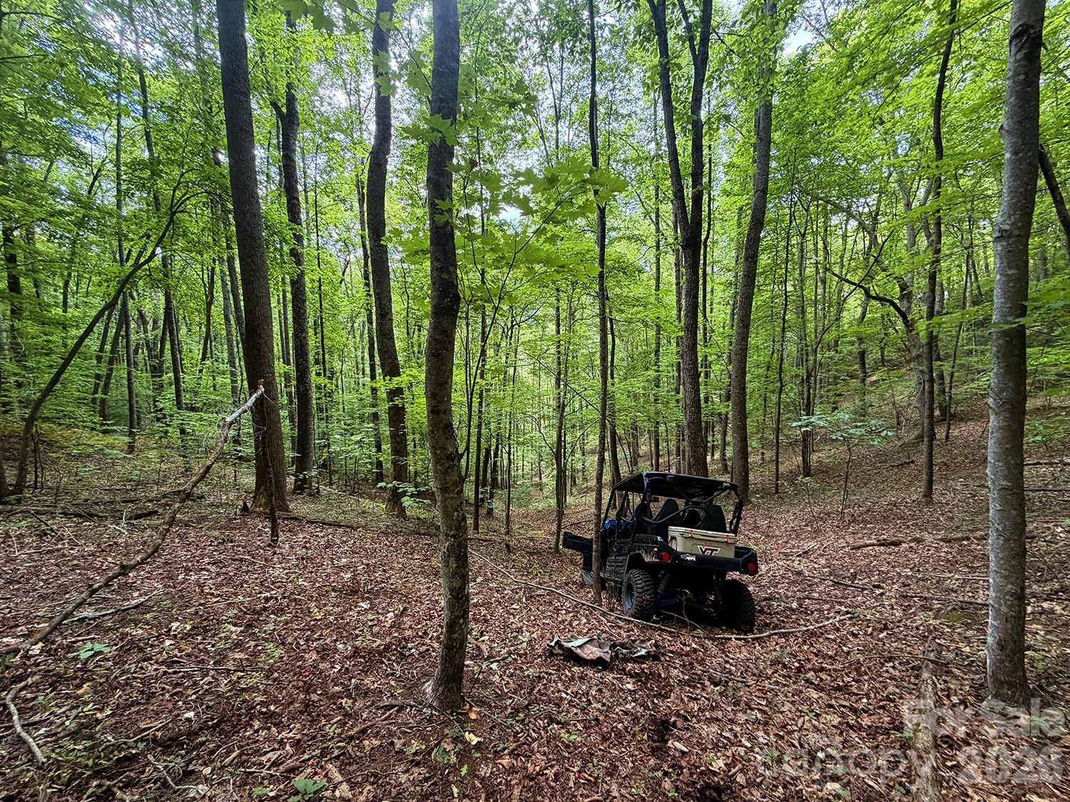 7777 Saw Branch Road