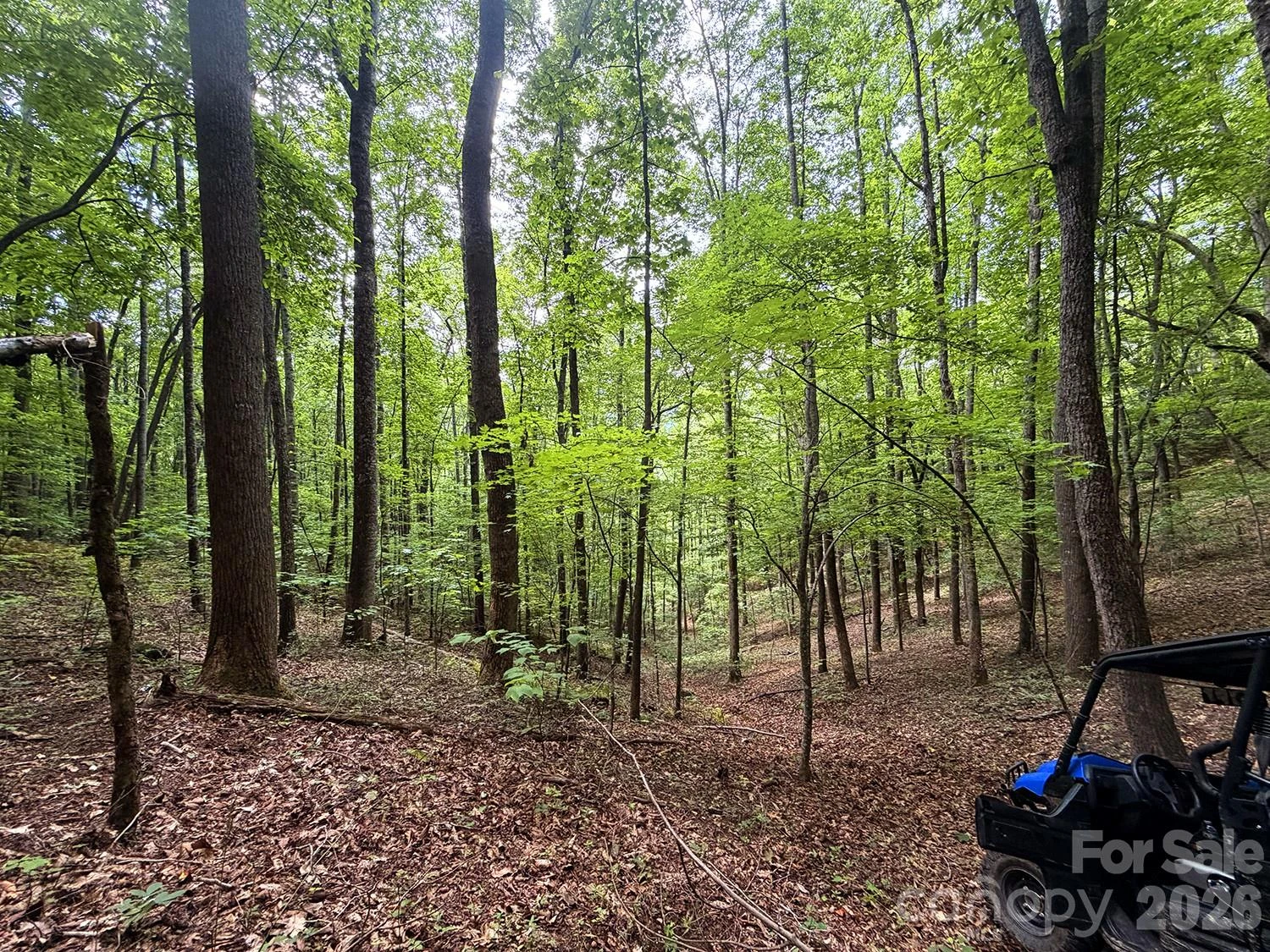 7777 Saw Branch Road - Photo 7