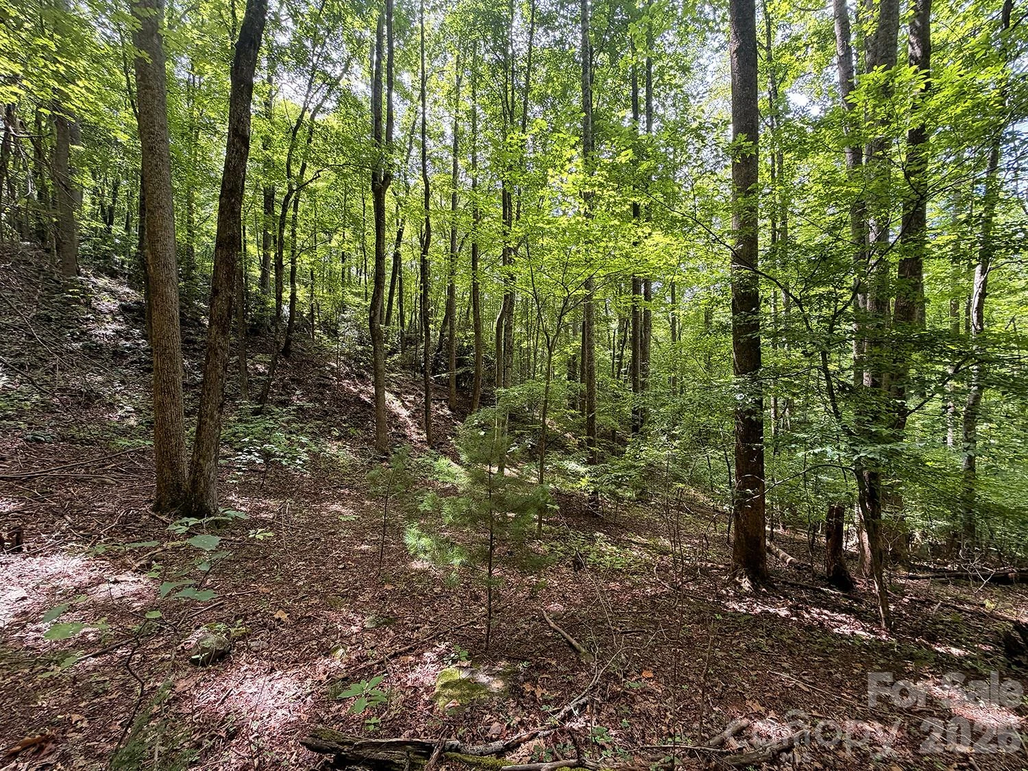 7777 Saw Branch Road - Photo 10