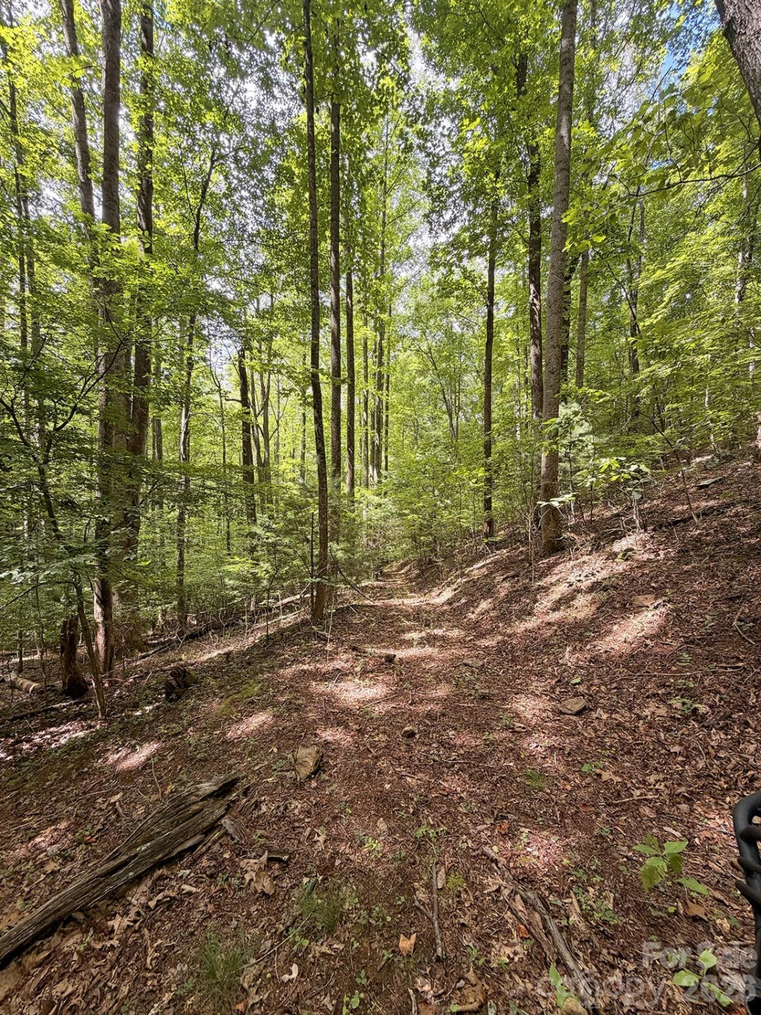 7777 Saw Branch Road - Photo 11