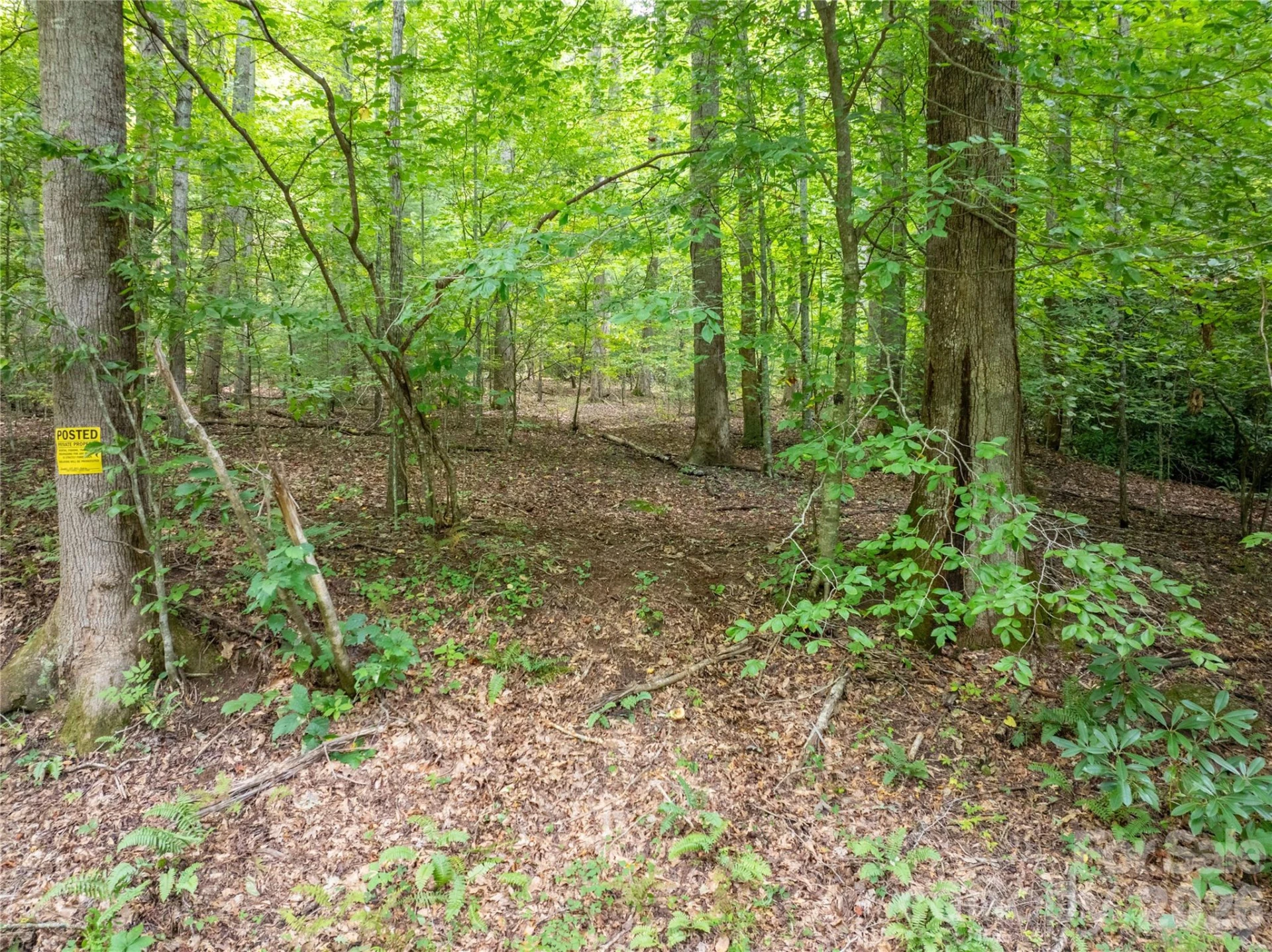 7777 Saw Branch Road - Photo 15