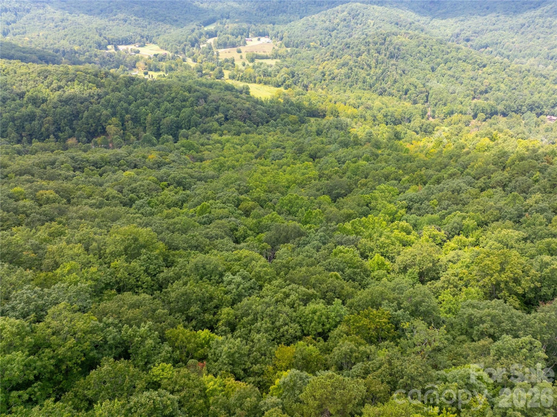 7777 Saw Branch Road - Photo 16