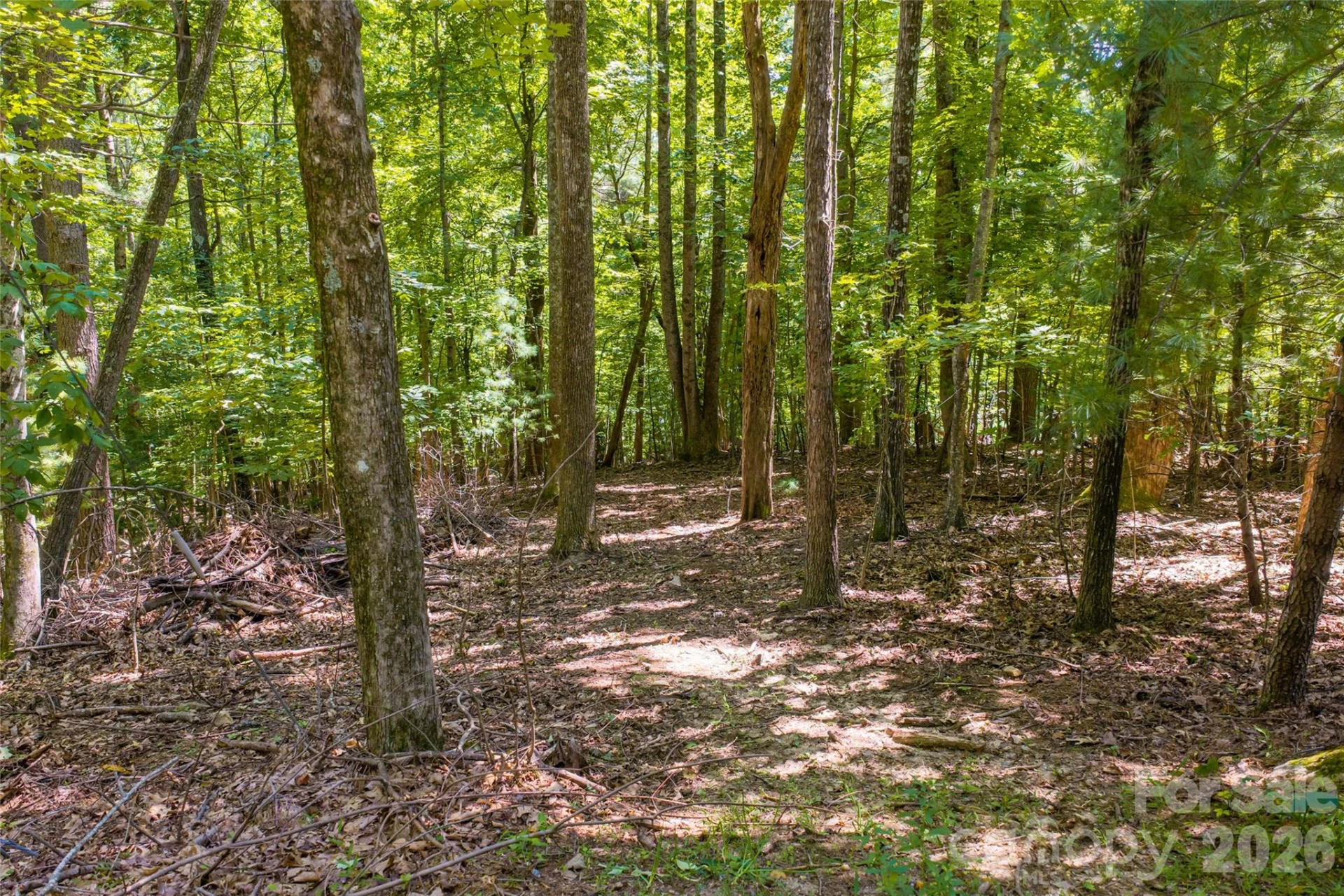 99999 Sabine Drive #2A - Photo 11