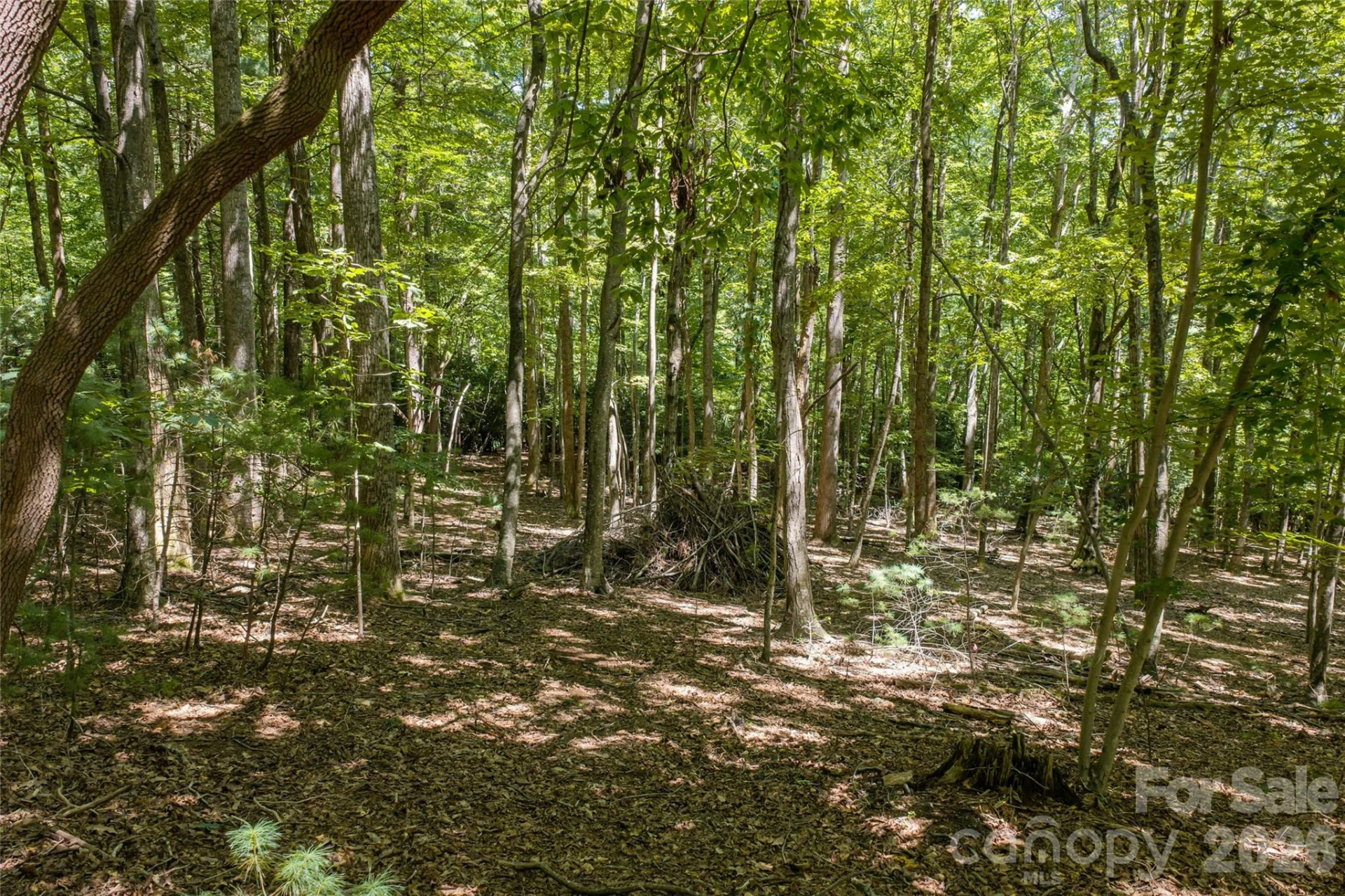 99999 Sabine Drive #2A - Photo 17