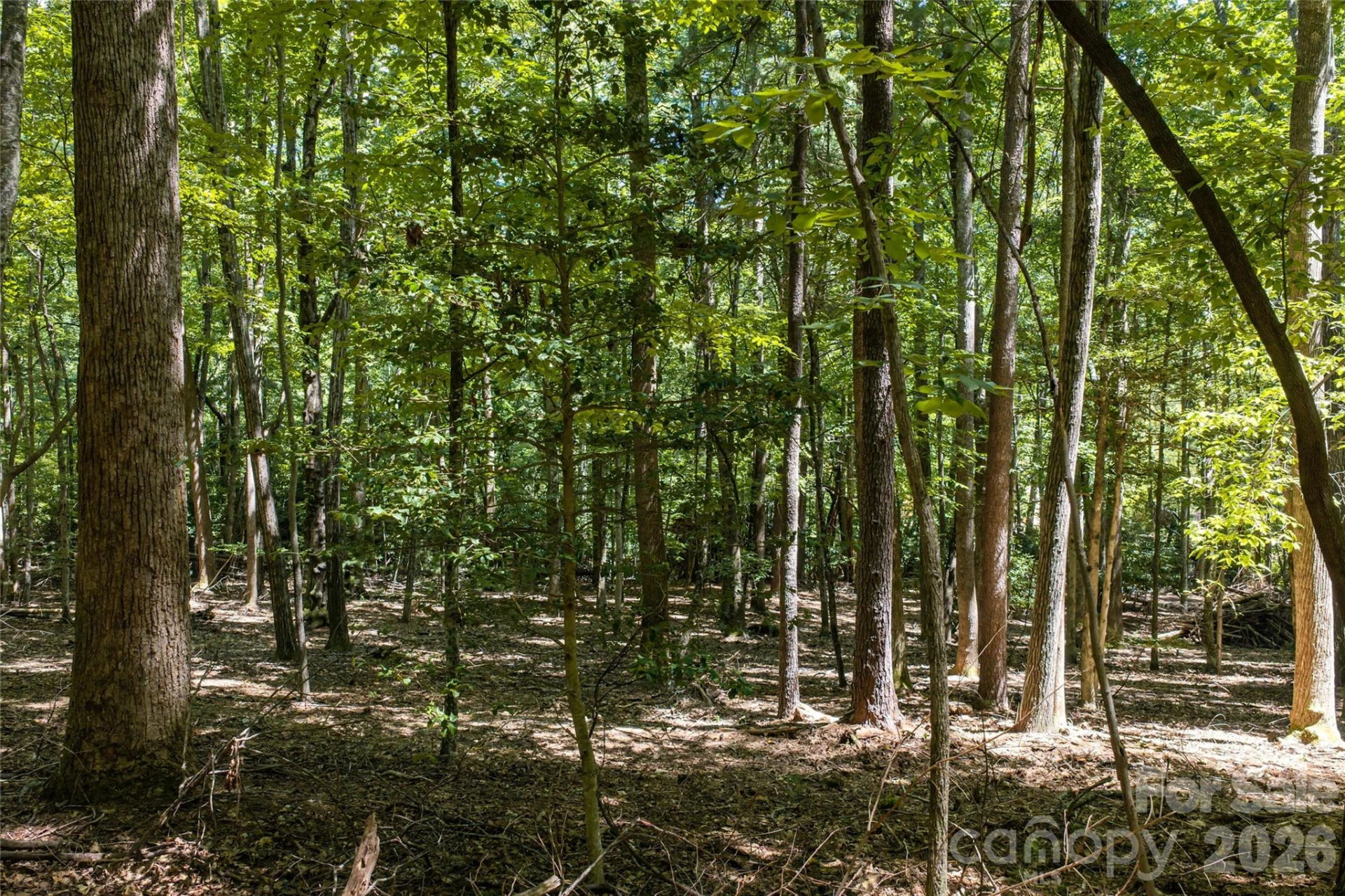 99999 Sabine Drive #2A - Photo 20