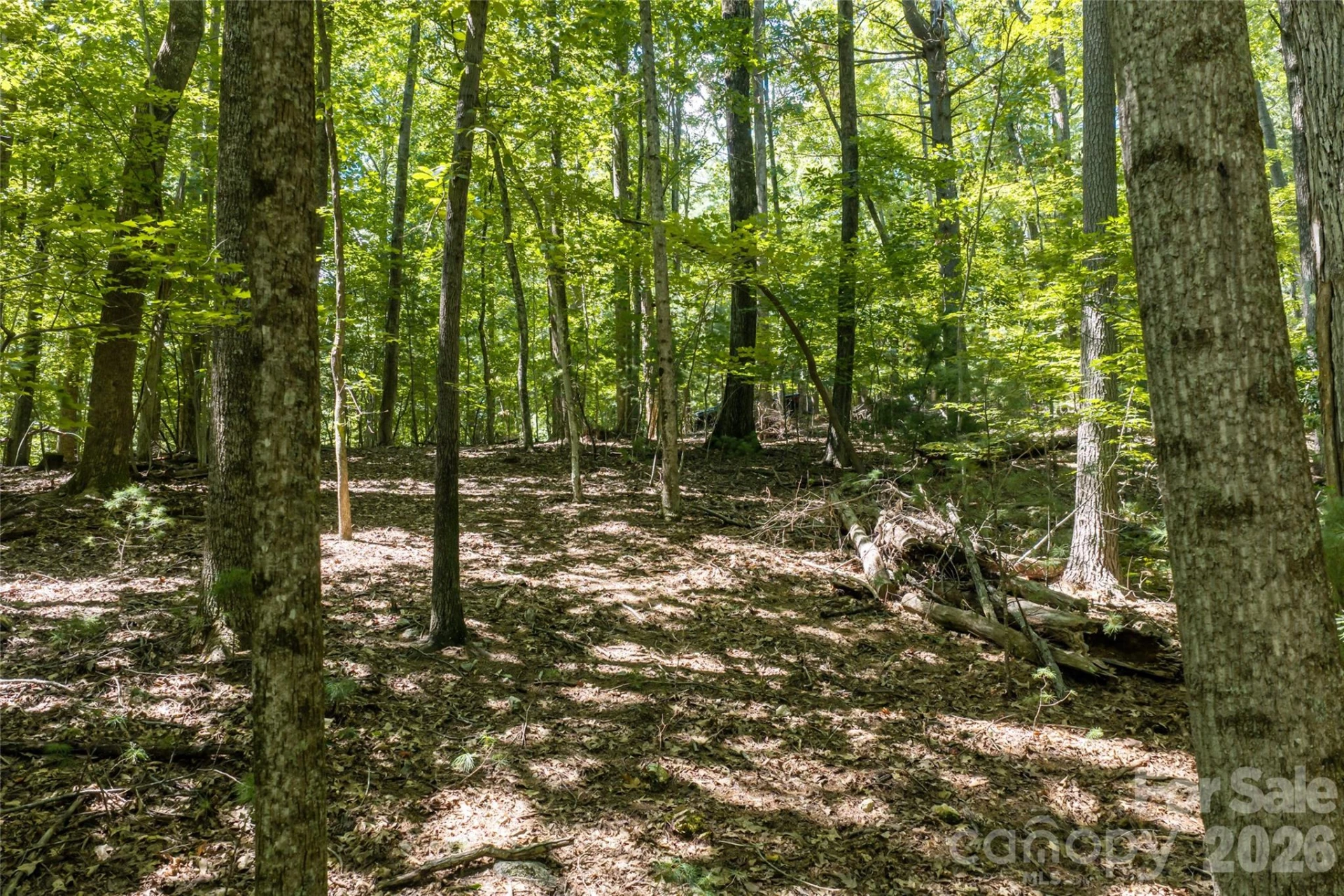 99999 Sabine Drive #2A - Photo 22