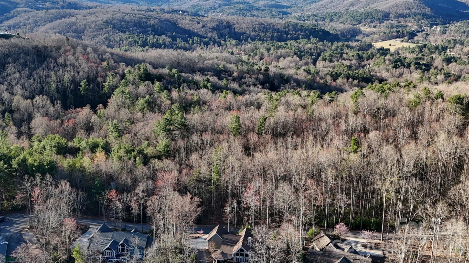 Lot 2 Tomahawk Trail #2 - Photo 4